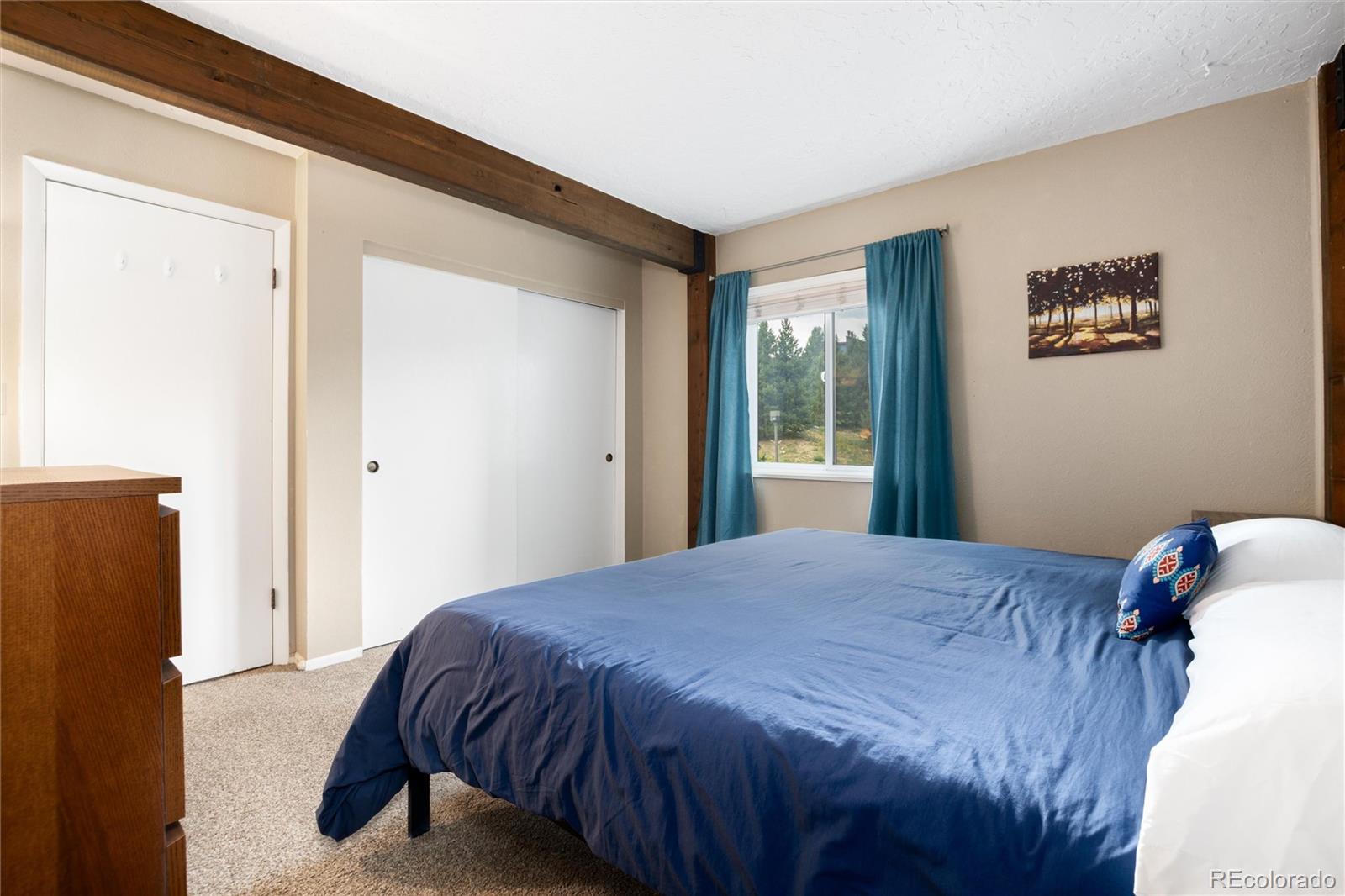 MLS Image #16 for 101  ryan gulch court,silverthorne, Colorado
