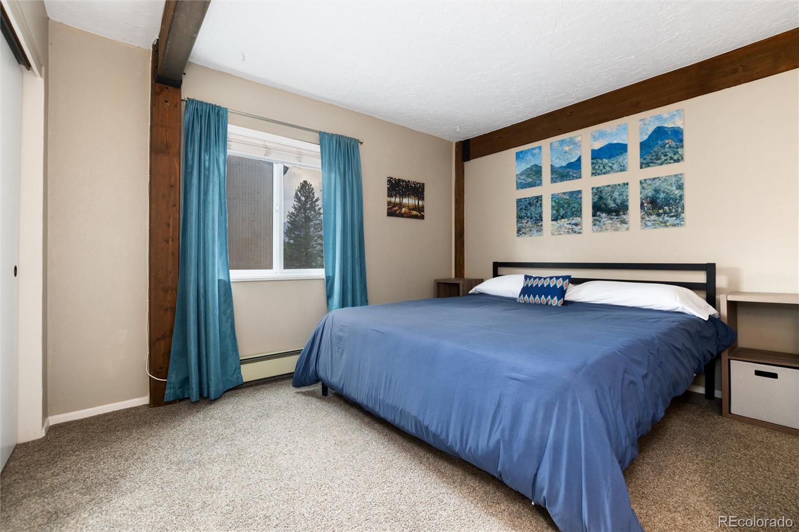 MLS Image #18 for 101  ryan gulch court,silverthorne, Colorado