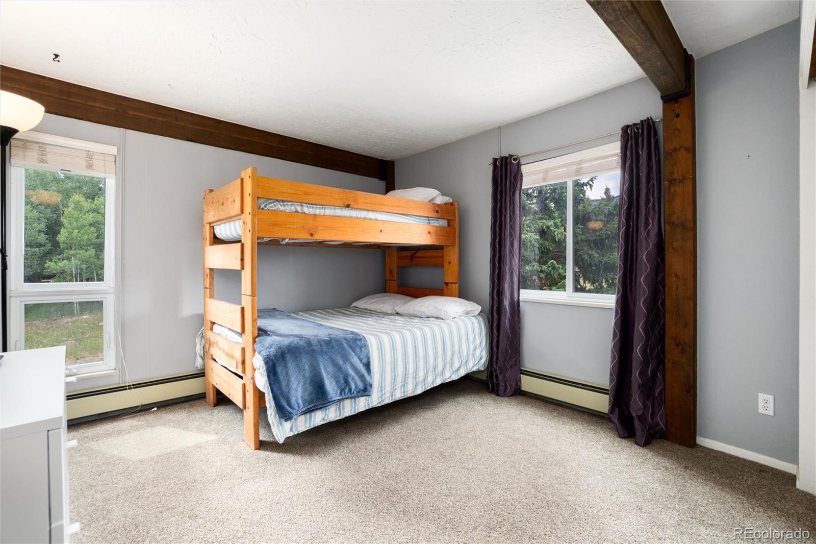 MLS Image #20 for 101  ryan gulch court,silverthorne, Colorado