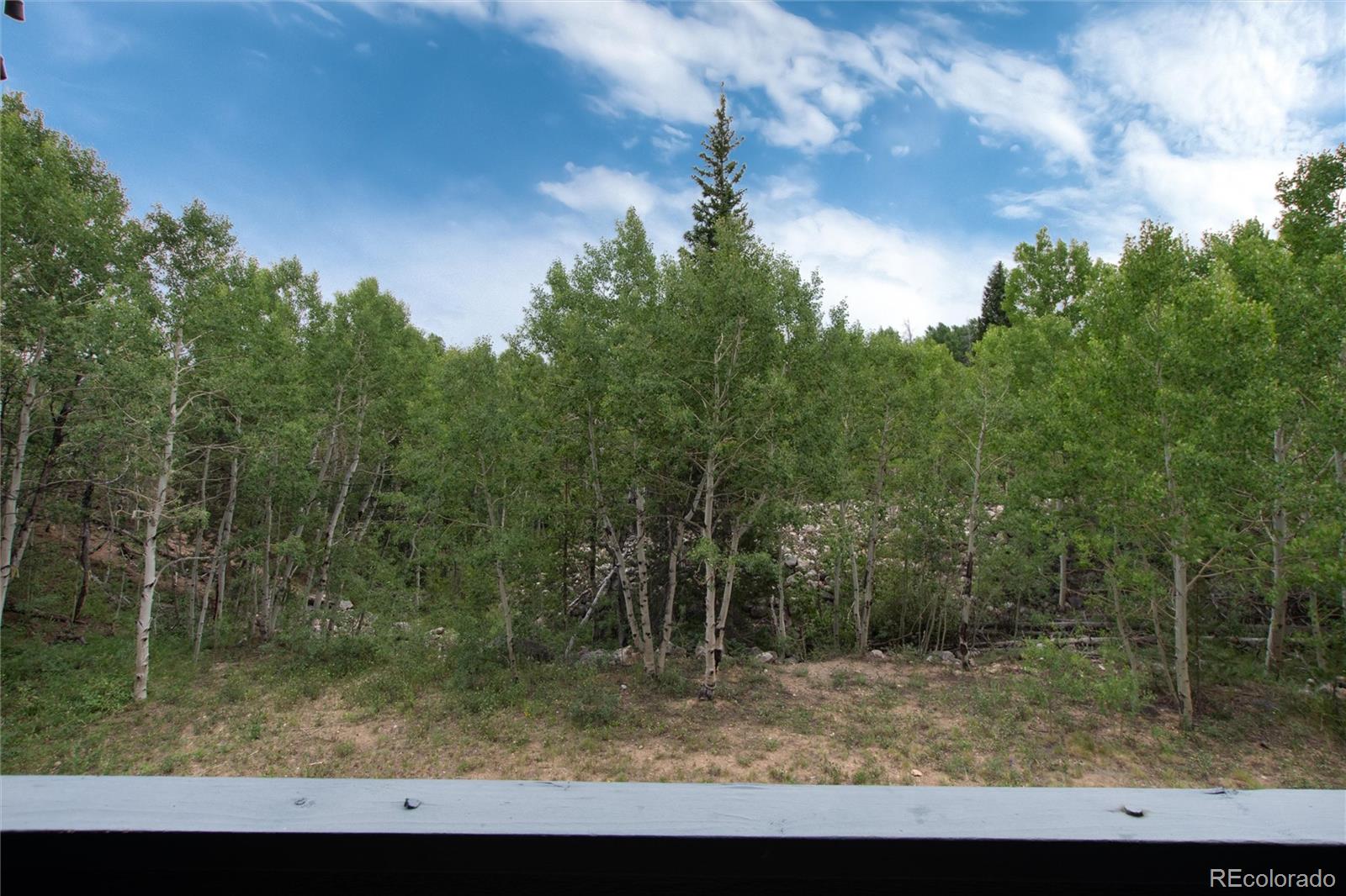 MLS Image #24 for 101  ryan gulch court,silverthorne, Colorado
