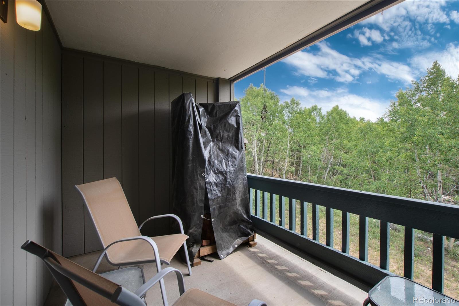 MLS Image #25 for 101  ryan gulch court,silverthorne, Colorado