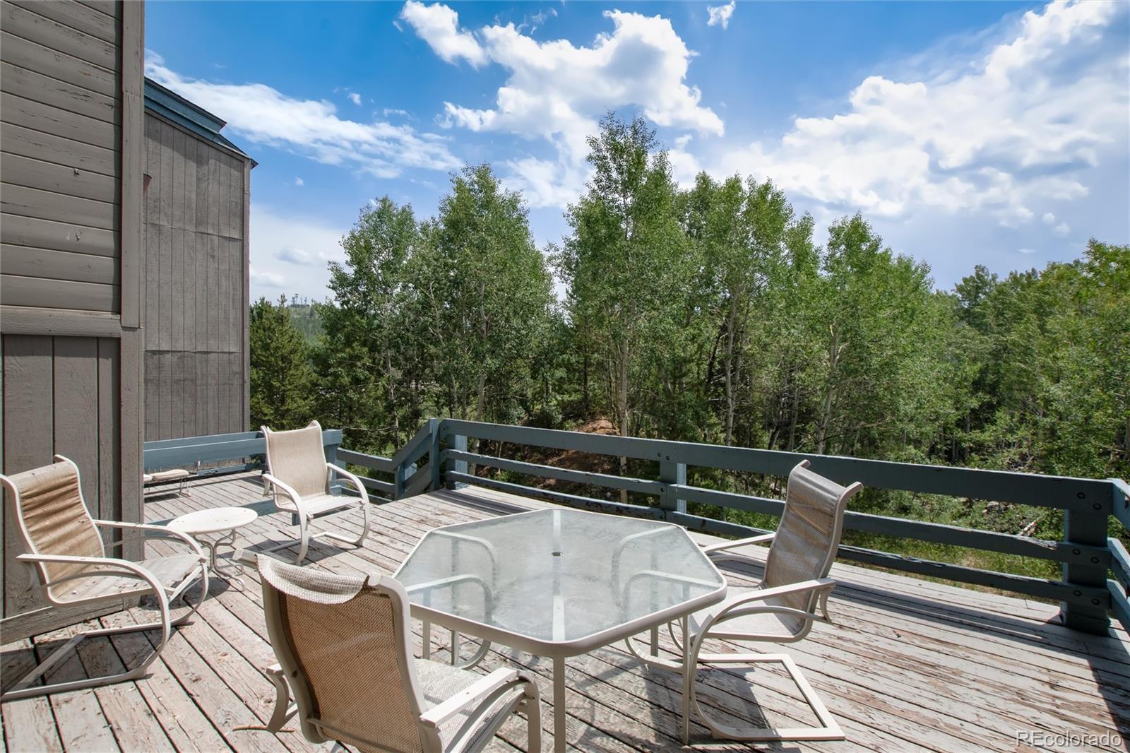 MLS Image #31 for 101  ryan gulch court,silverthorne, Colorado