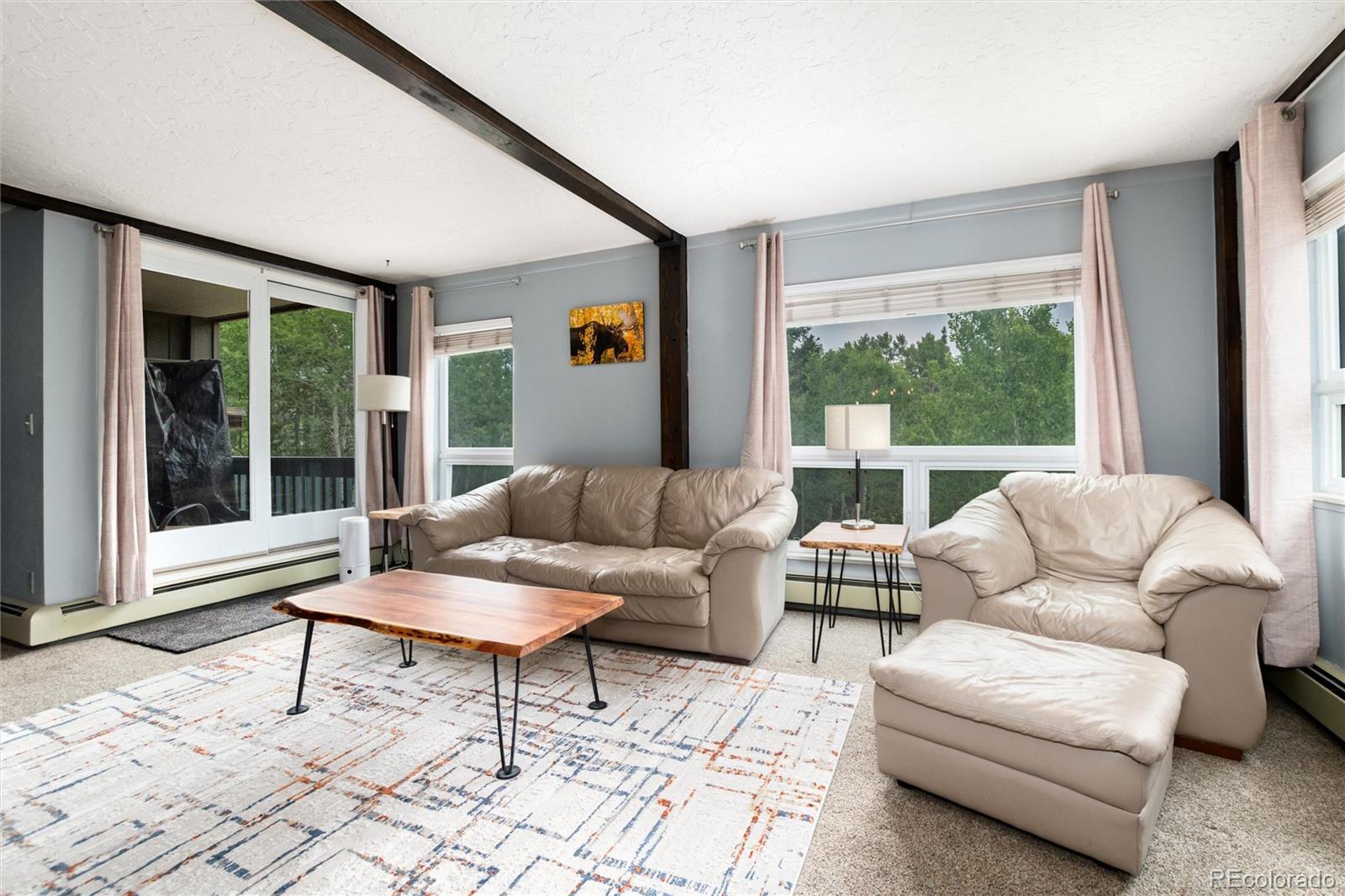 MLS Image #4 for 101  ryan gulch court,silverthorne, Colorado