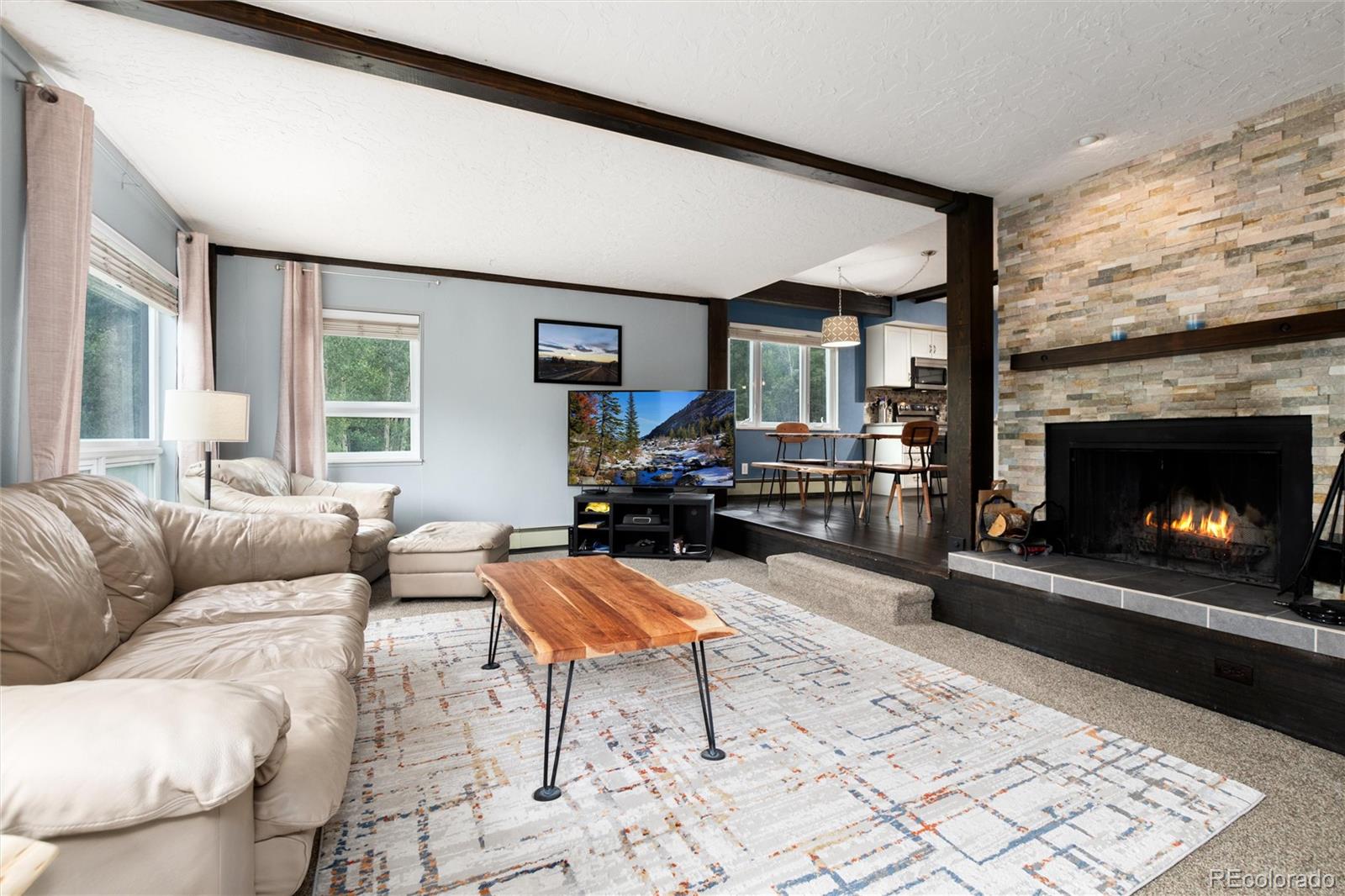 MLS Image #6 for 101  ryan gulch court,silverthorne, Colorado