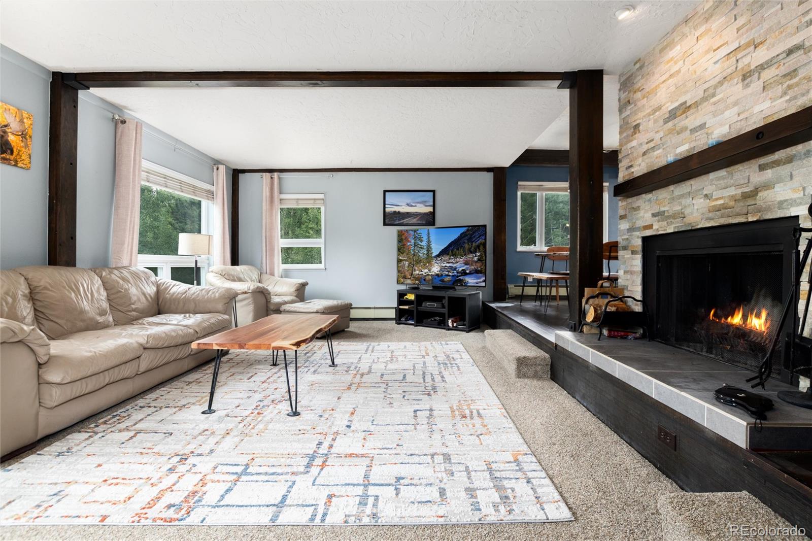 MLS Image #7 for 101  ryan gulch court,silverthorne, Colorado