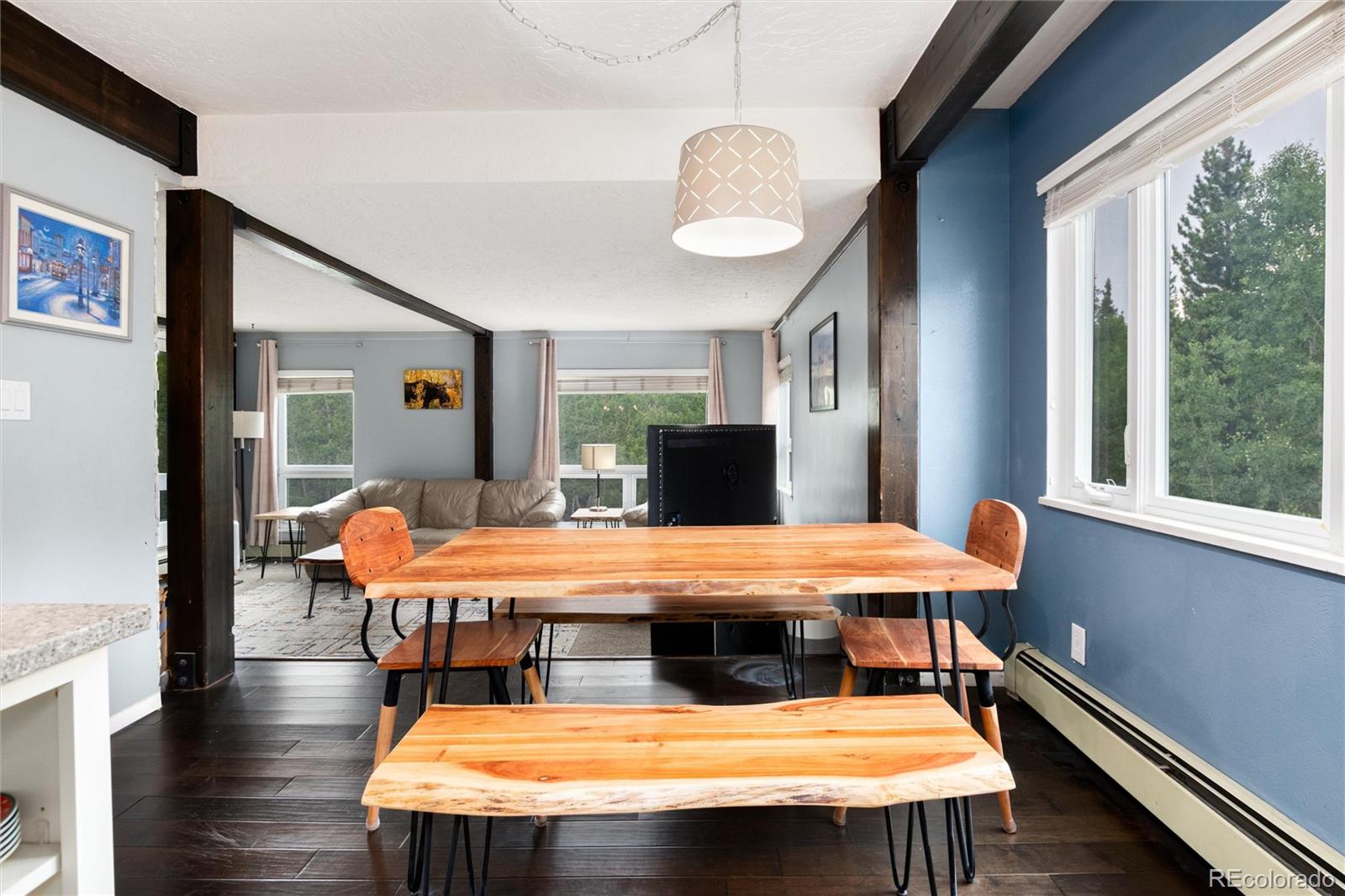 MLS Image #8 for 101  ryan gulch court,silverthorne, Colorado