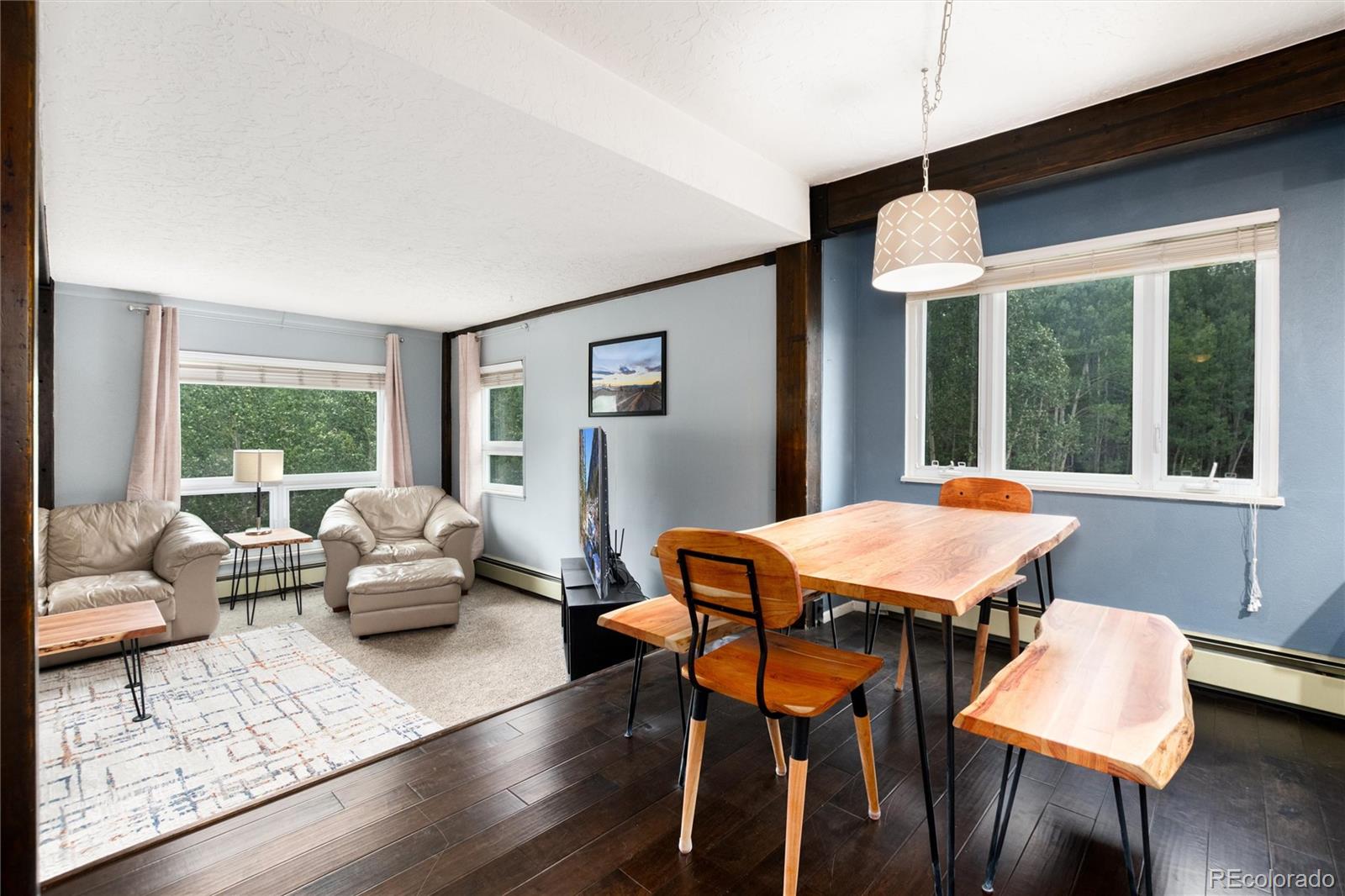 MLS Image #9 for 101  ryan gulch court,silverthorne, Colorado