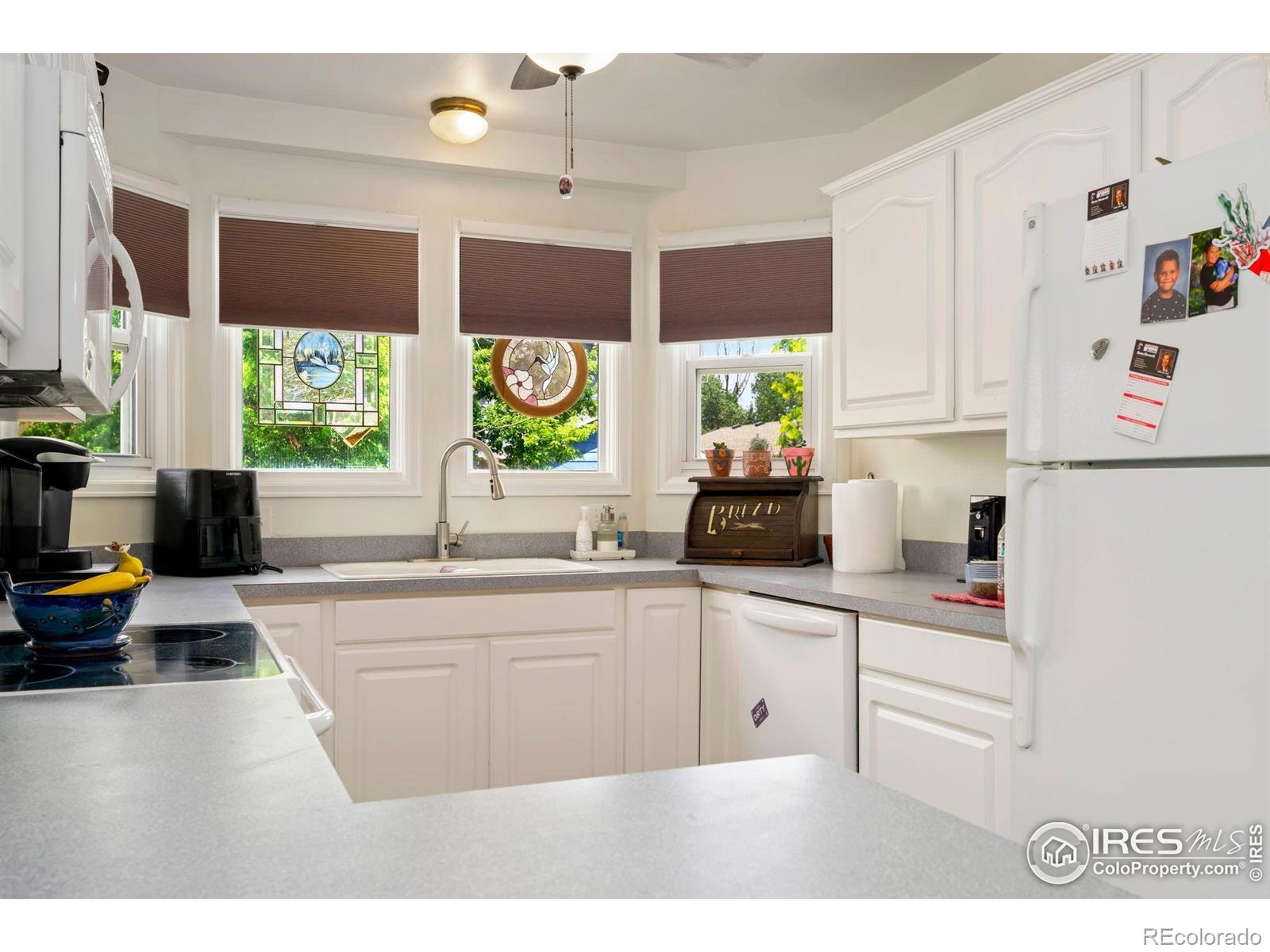MLS Image #3 for 2850 sw bridalwreath place,loveland, Colorado