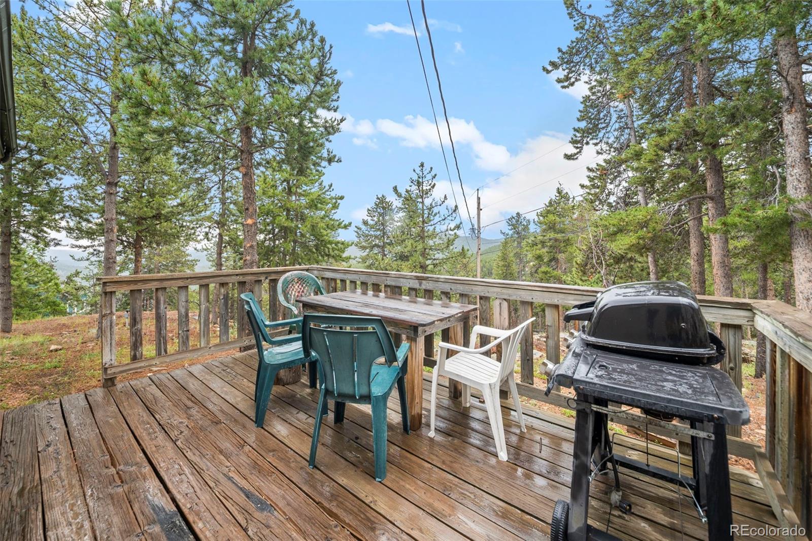 MLS Image #21 for 189  sioux trail,evergreen, Colorado
