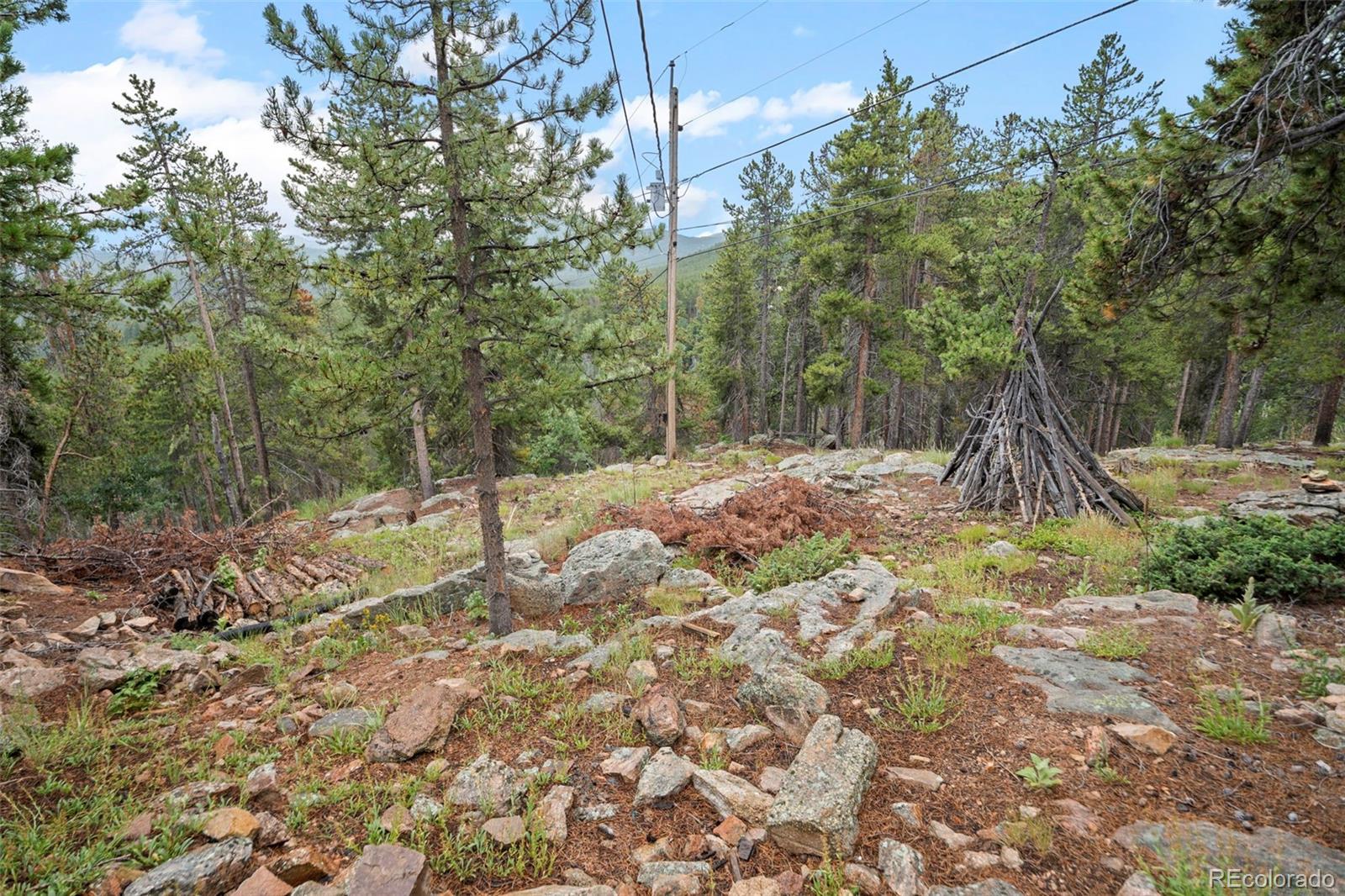 MLS Image #24 for 189  sioux trail,evergreen, Colorado