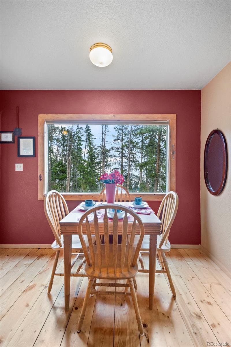 MLS Image #7 for 189  sioux trail,evergreen, Colorado