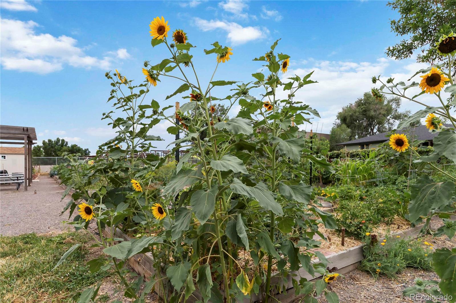 MLS Image #40 for 1709 s kearney street,denver, Colorado