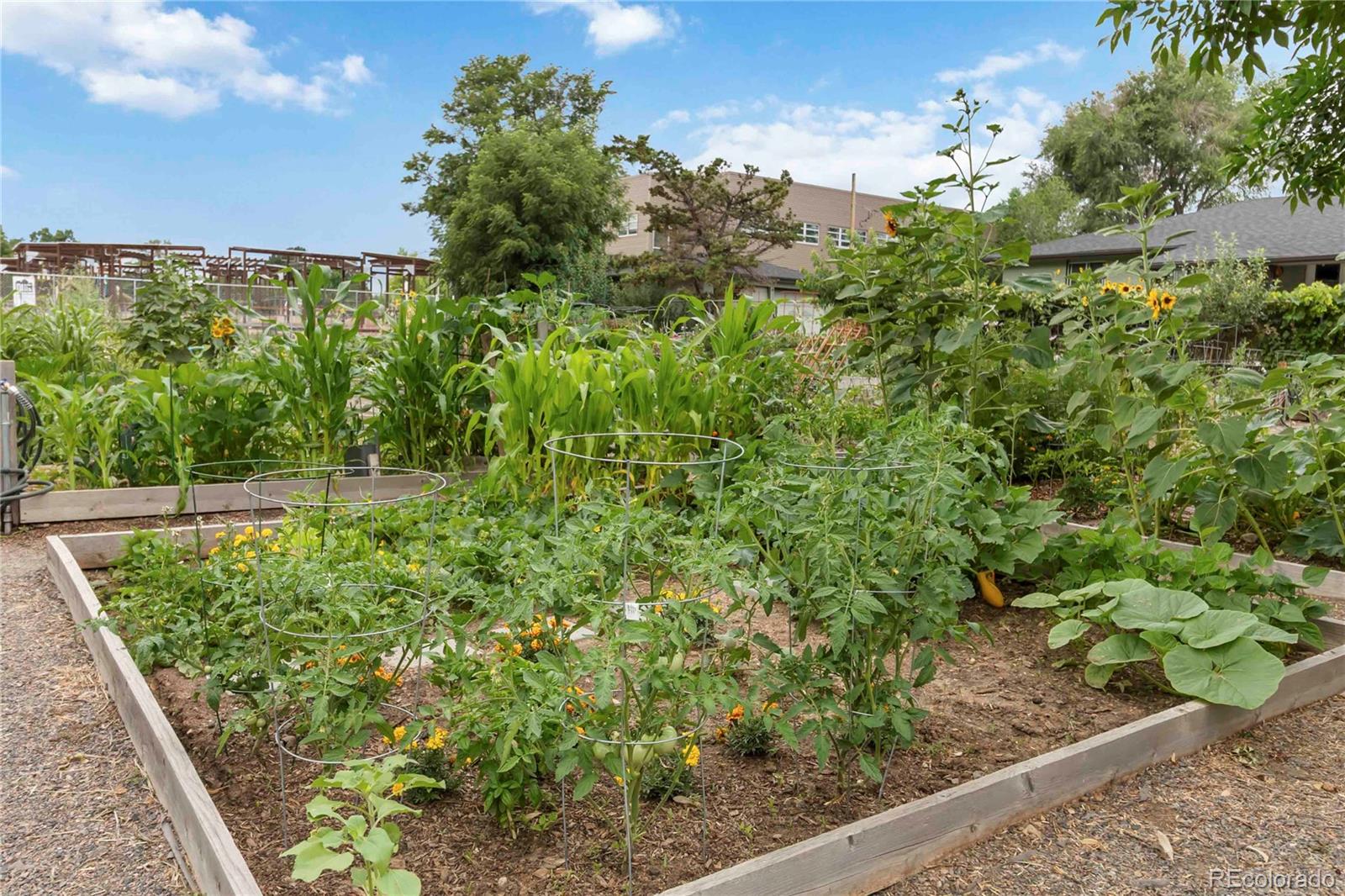 MLS Image #41 for 1709 s kearney street,denver, Colorado
