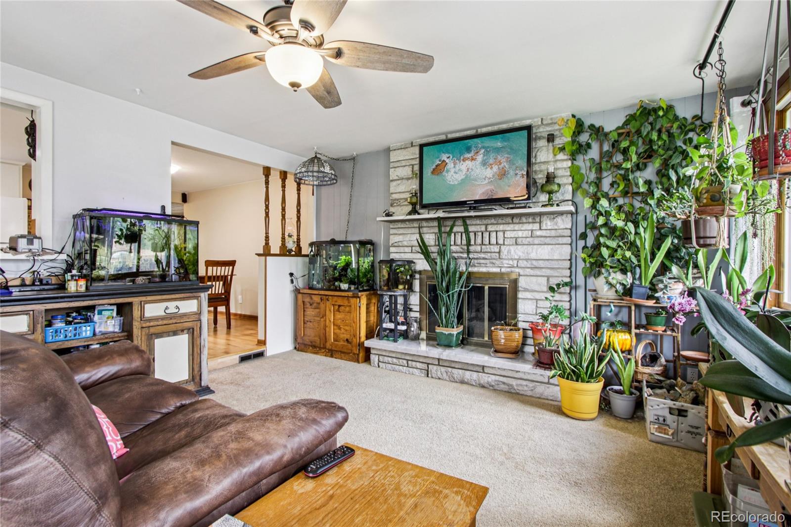 MLS Image #12 for 1718  dotsero avenue,loveland, Colorado