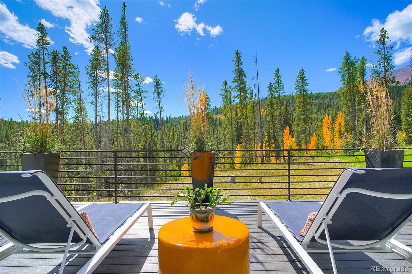 MLS Image #12 for 257  barton ridge drive,breckenridge, Colorado