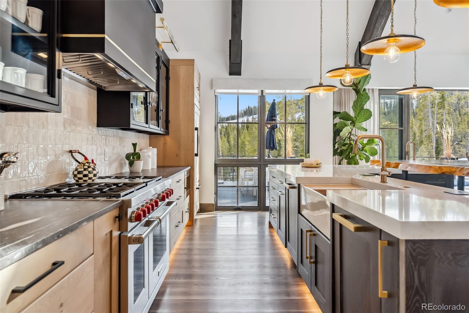 MLS Image #16 for 257  barton ridge drive,breckenridge, Colorado