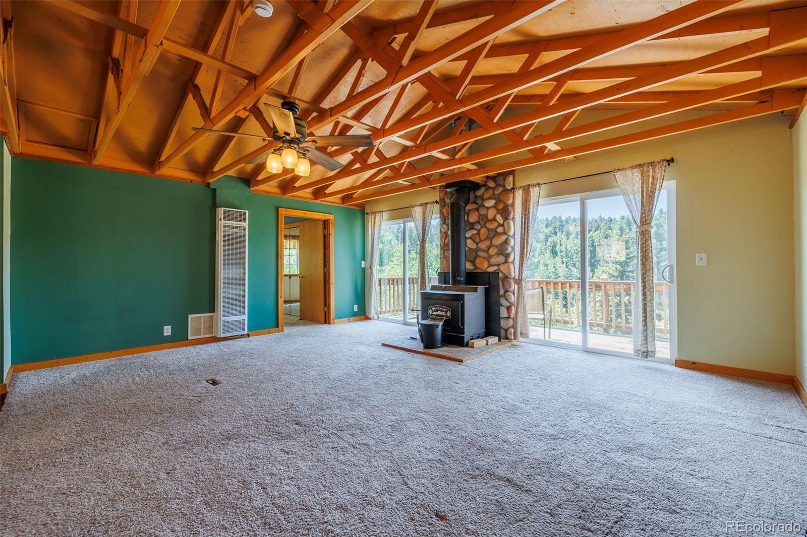 MLS Image #7 for 66  golden lane,florissant, Colorado