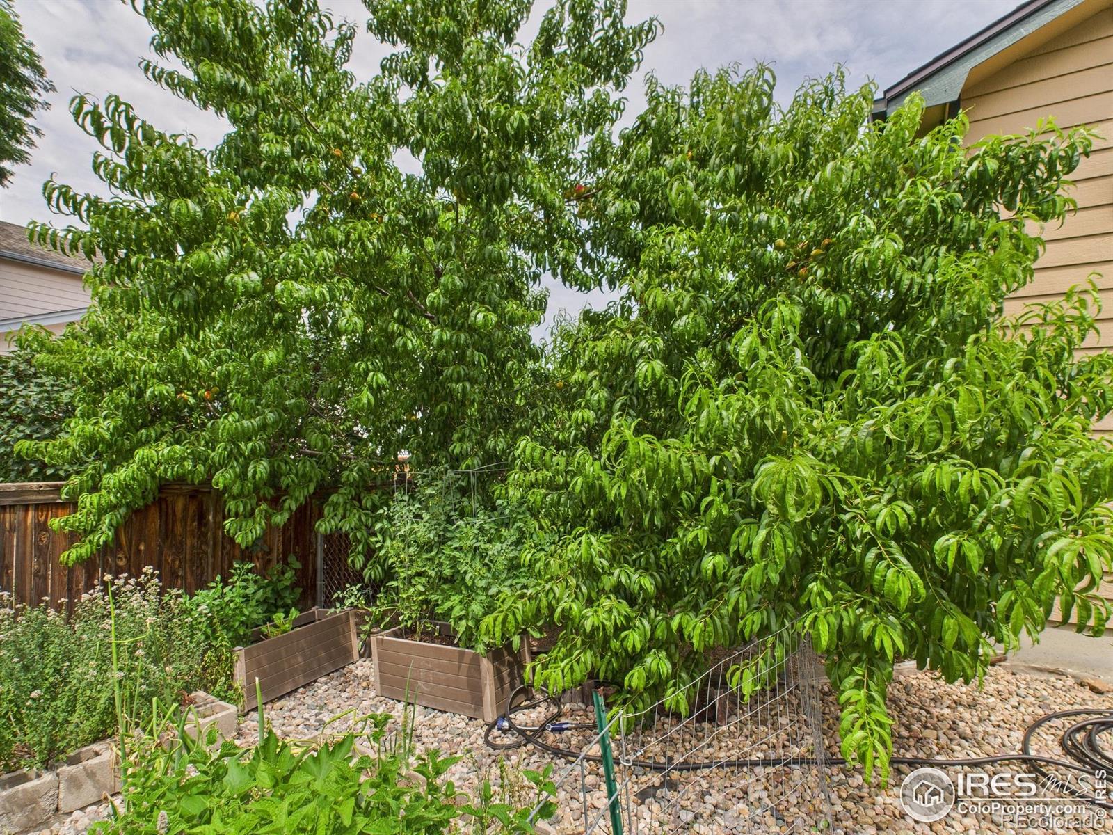 MLS Image #25 for 2129  72nd ave ct,greeley, Colorado