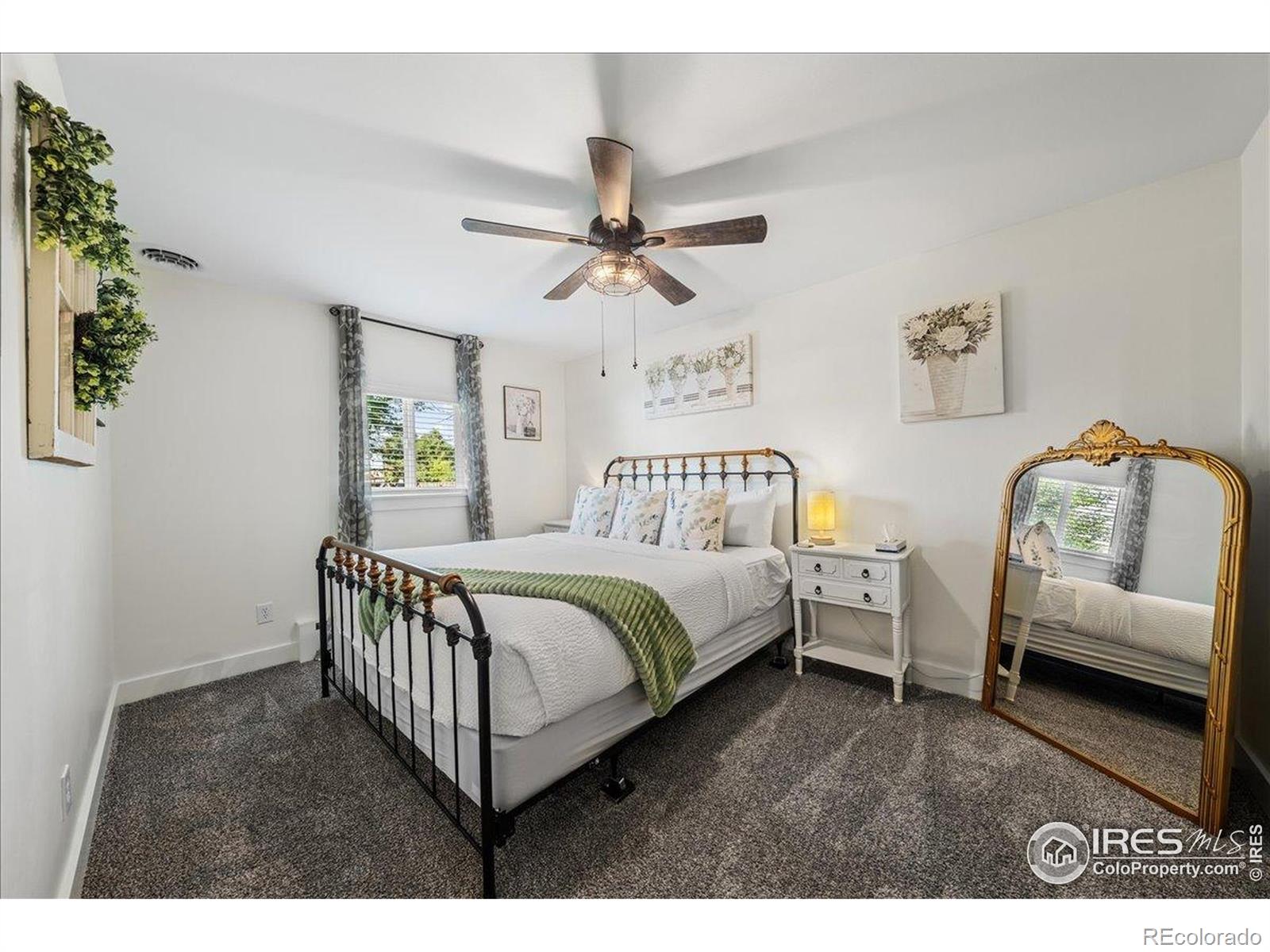 MLS Image #19 for 205  locust street,windsor, Colorado