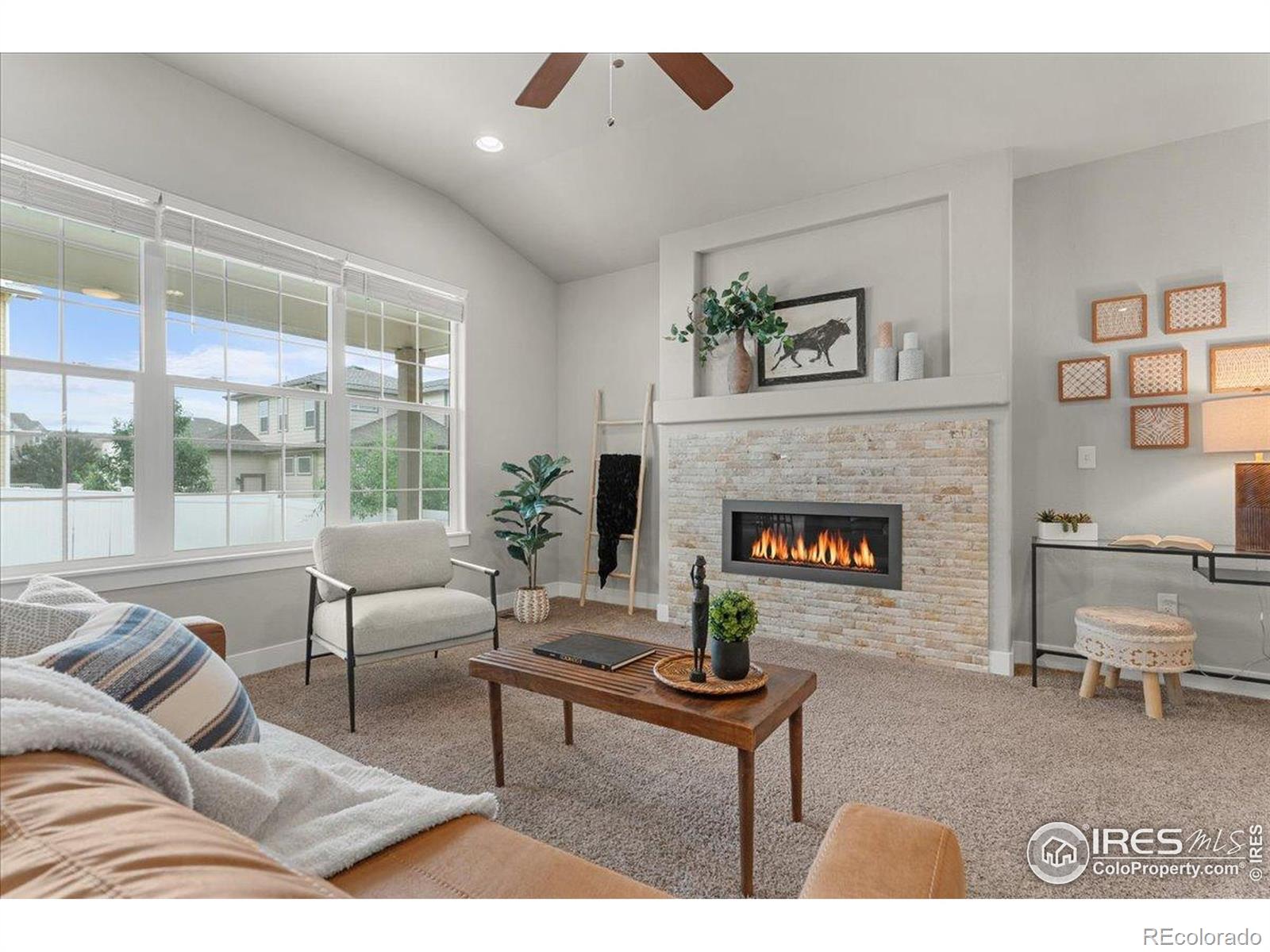 MLS Image #5 for 1062  mt columbia drive,severance, Colorado