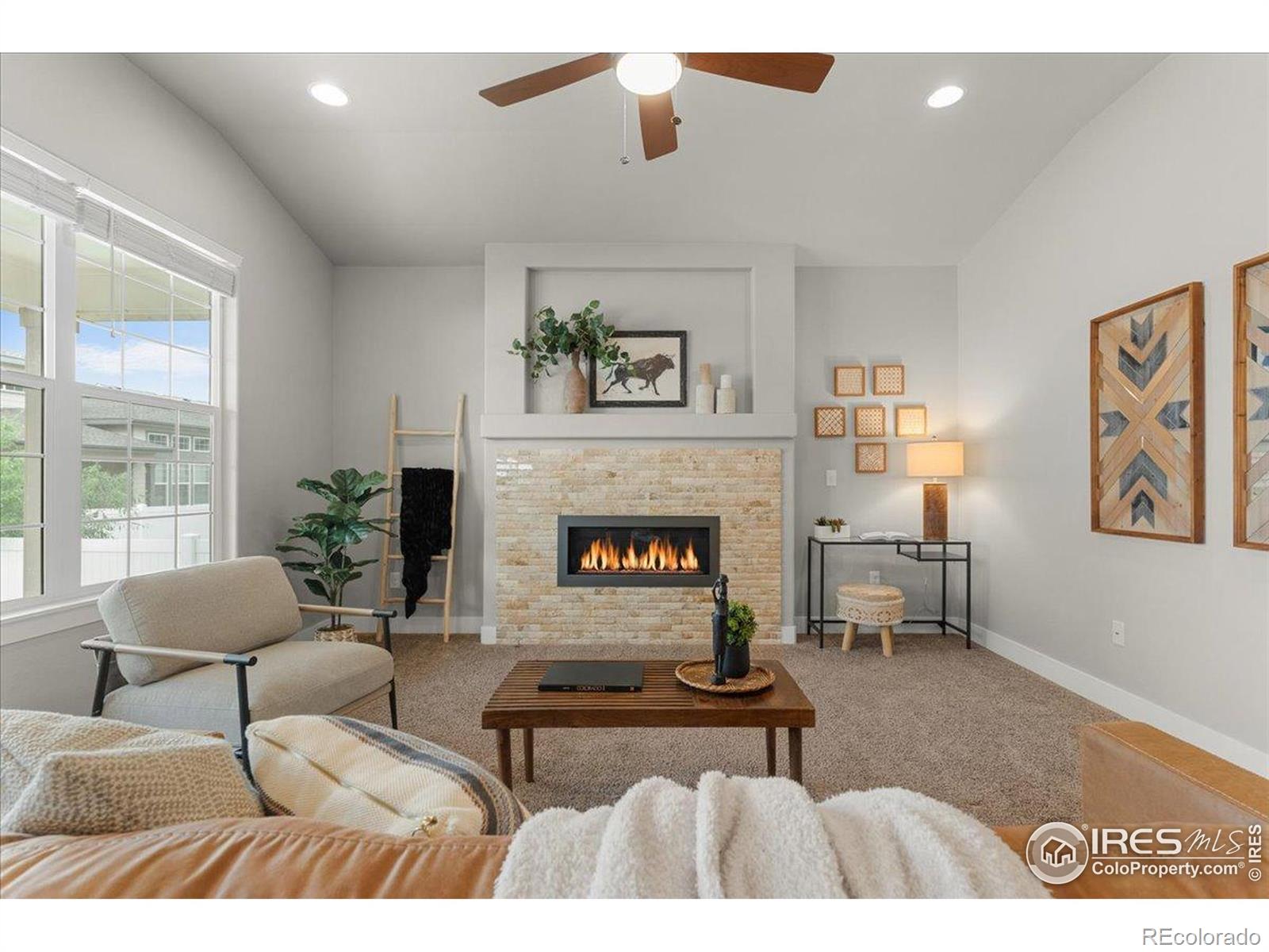MLS Image #6 for 1062  mt columbia drive,severance, Colorado