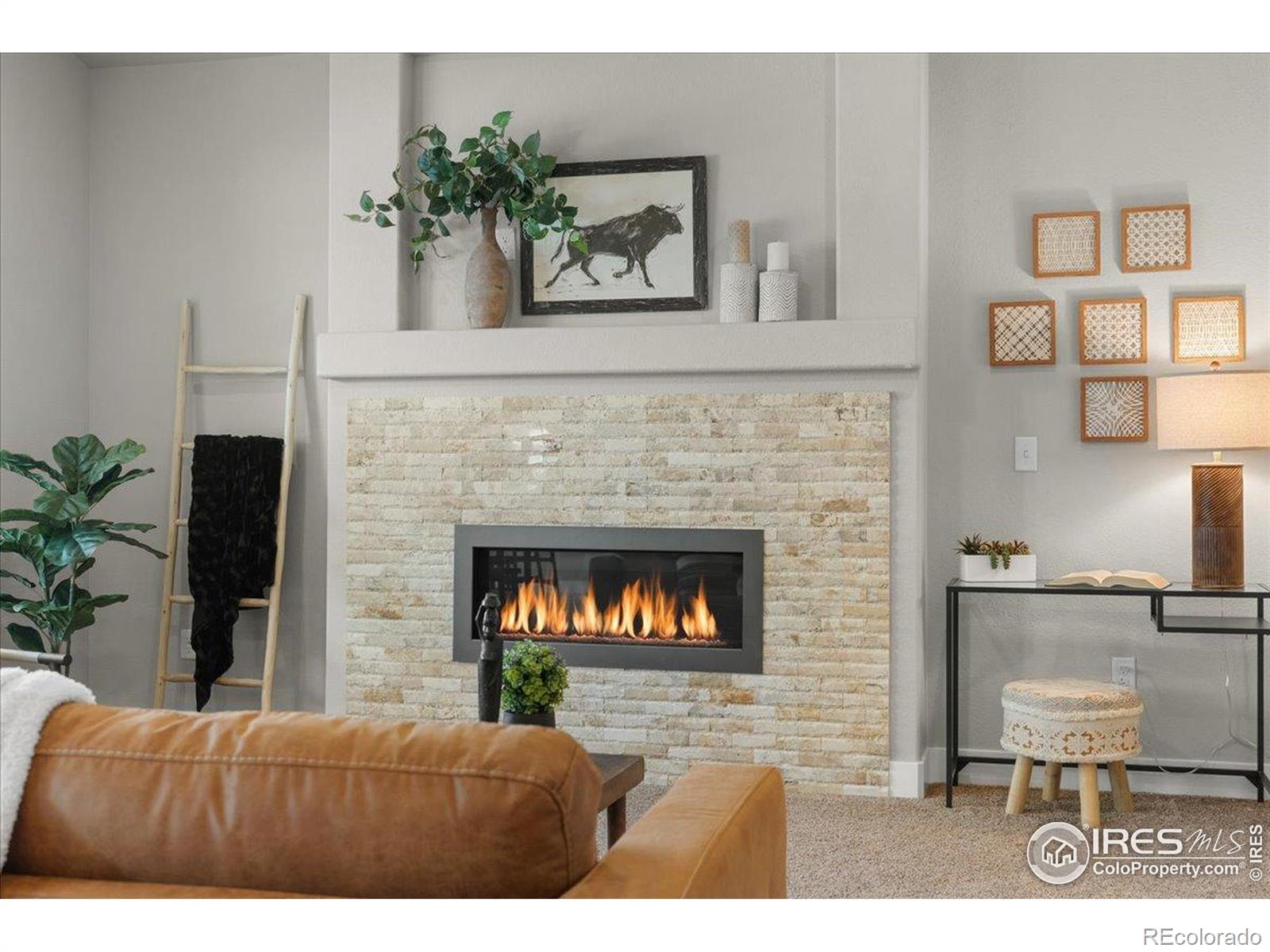 MLS Image #7 for 1062  mt columbia drive,severance, Colorado