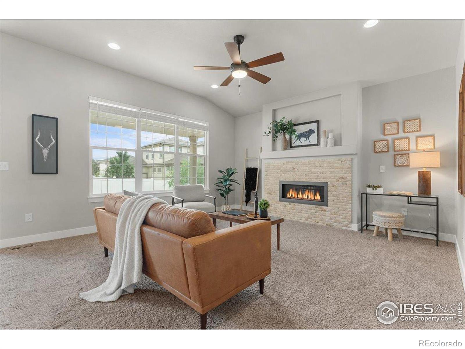 MLS Image #8 for 1062  mt columbia drive,severance, Colorado