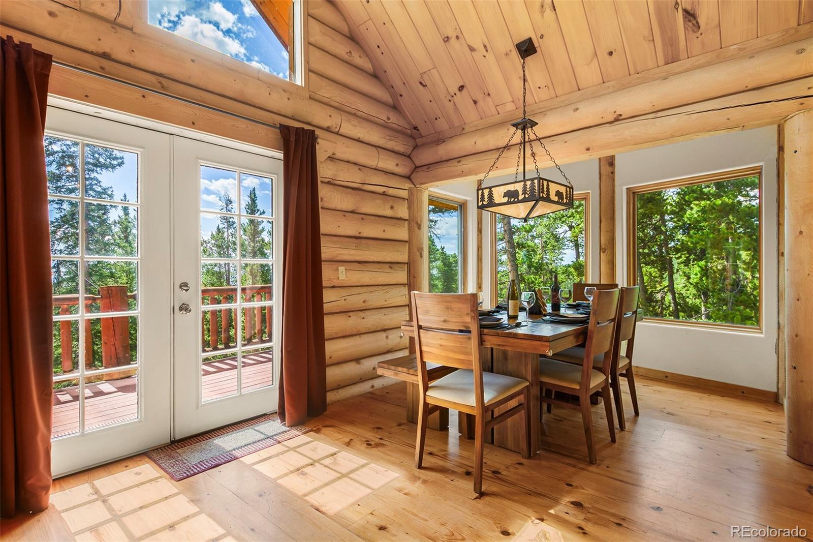 MLS Image #10 for 725  zebulon street,fairplay, Colorado