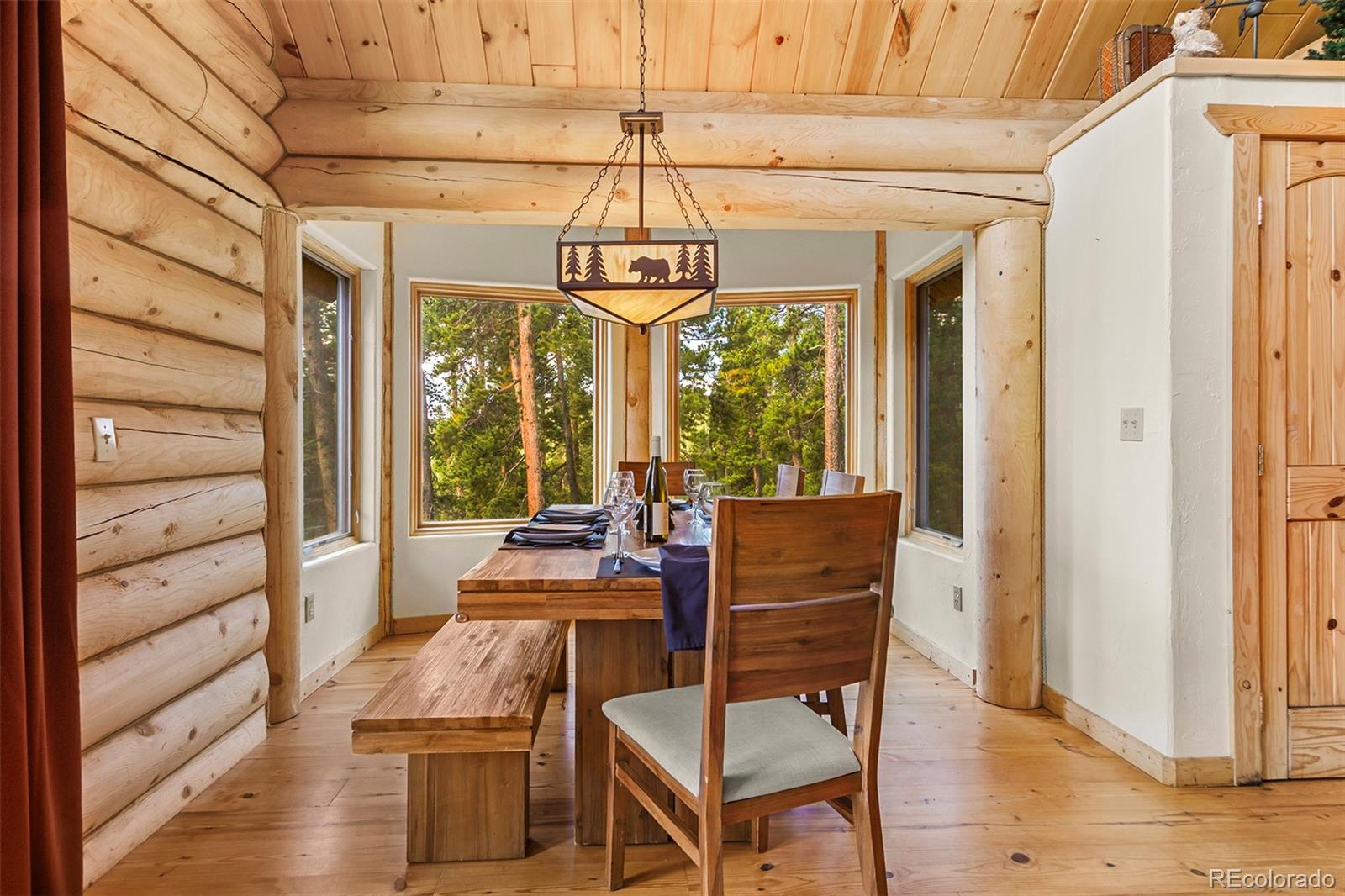 MLS Image #11 for 725  zebulon street,fairplay, Colorado