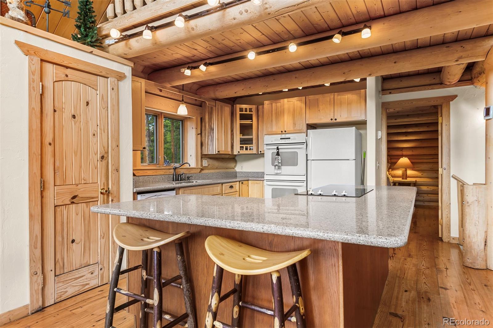 MLS Image #12 for 725  zebulon street,fairplay, Colorado