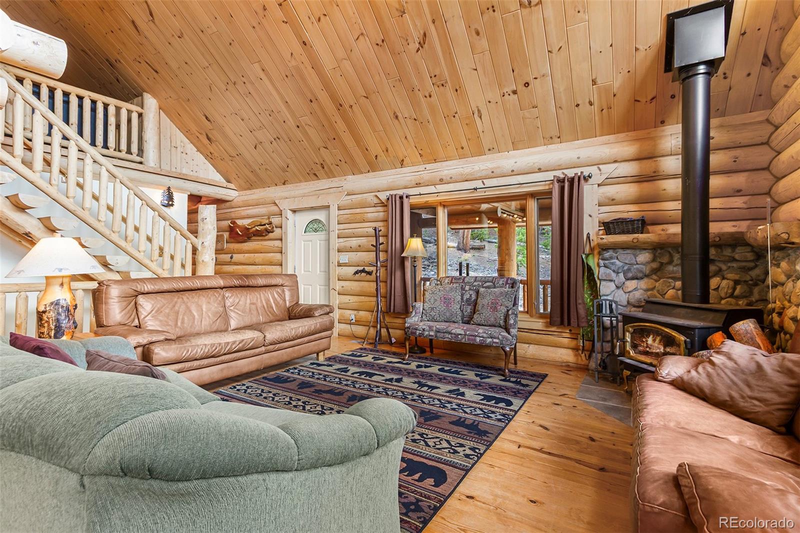MLS Image #13 for 725  zebulon street,fairplay, Colorado