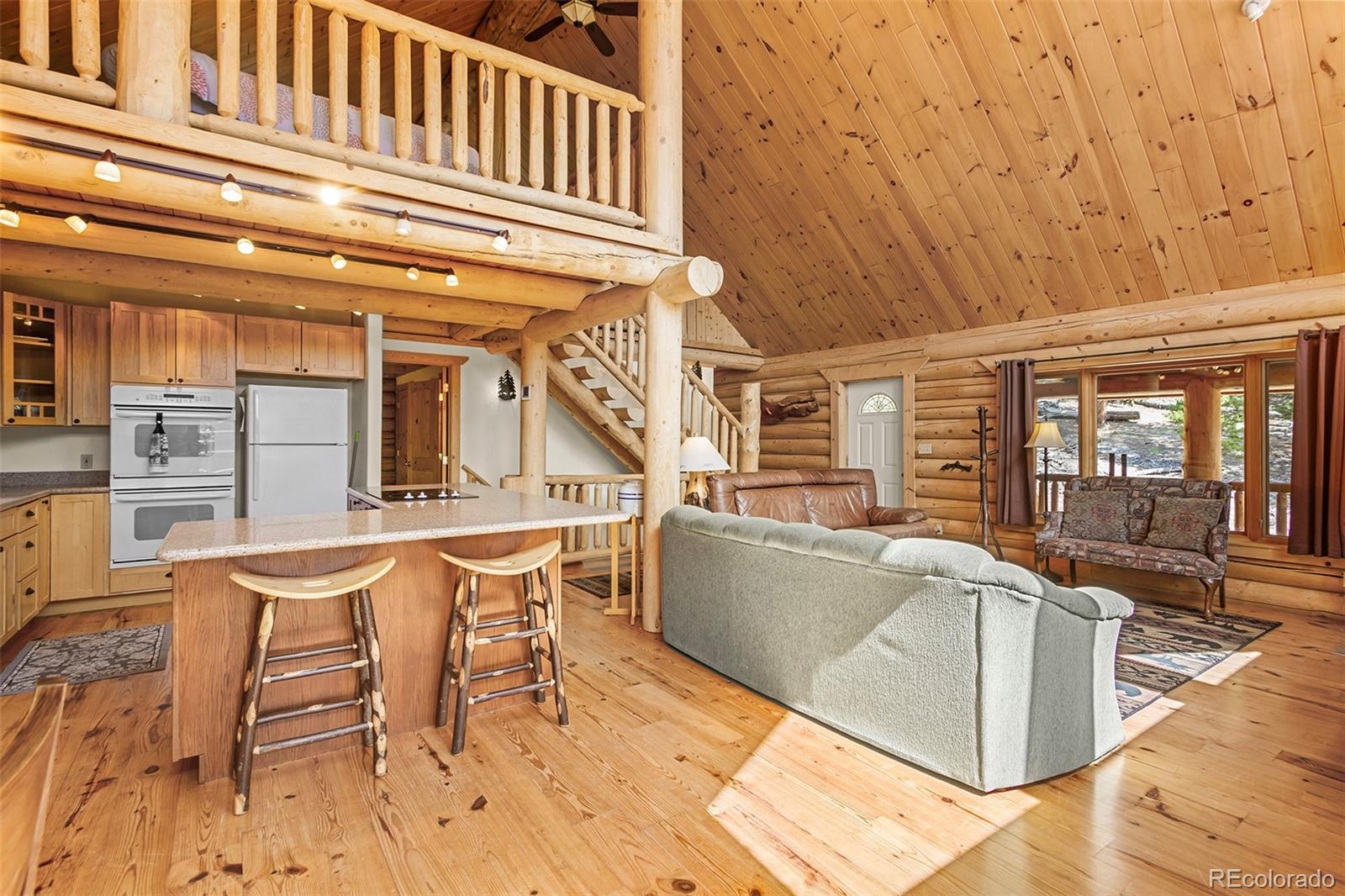 MLS Image #14 for 725  zebulon street,fairplay, Colorado