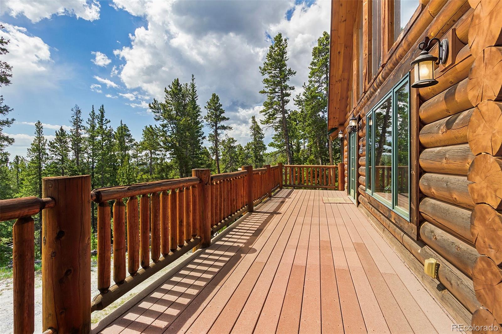 MLS Image #15 for 725  zebulon street,fairplay, Colorado