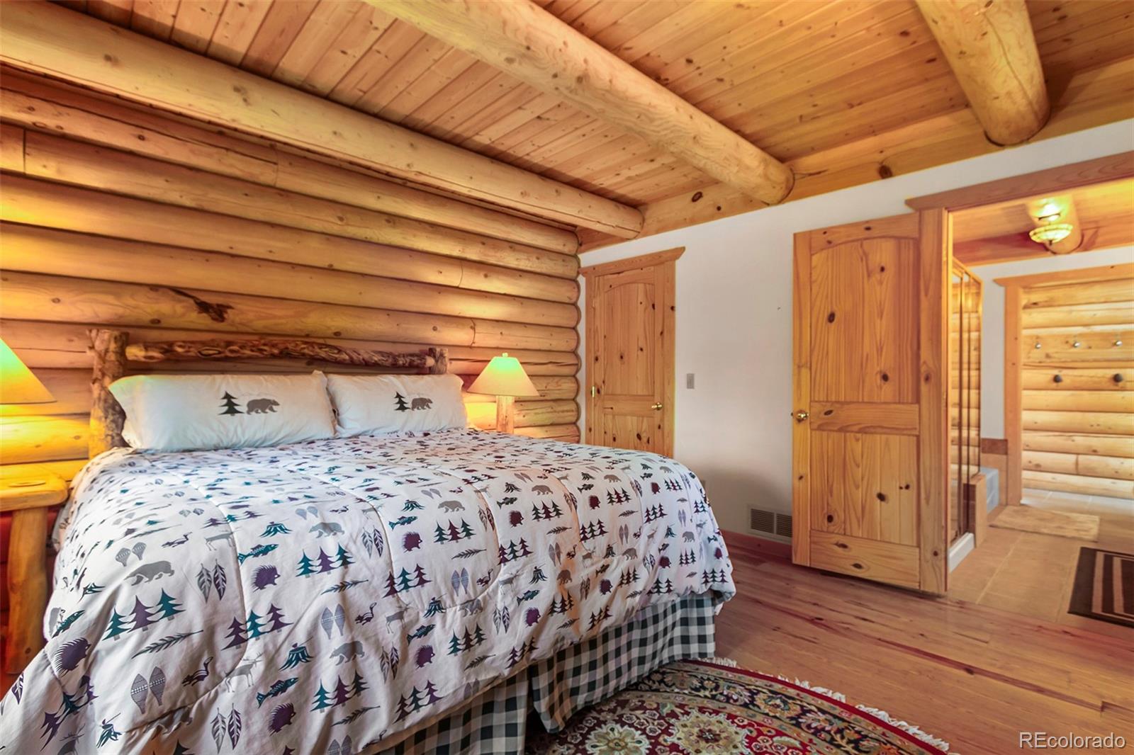 MLS Image #17 for 725  zebulon street,fairplay, Colorado