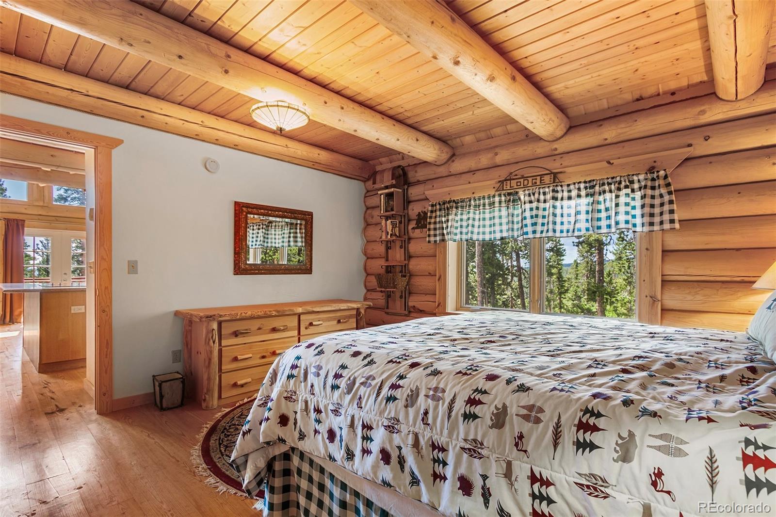 MLS Image #18 for 725  zebulon street,fairplay, Colorado
