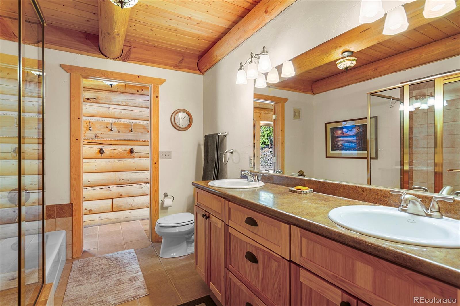 MLS Image #19 for 725  zebulon street,fairplay, Colorado