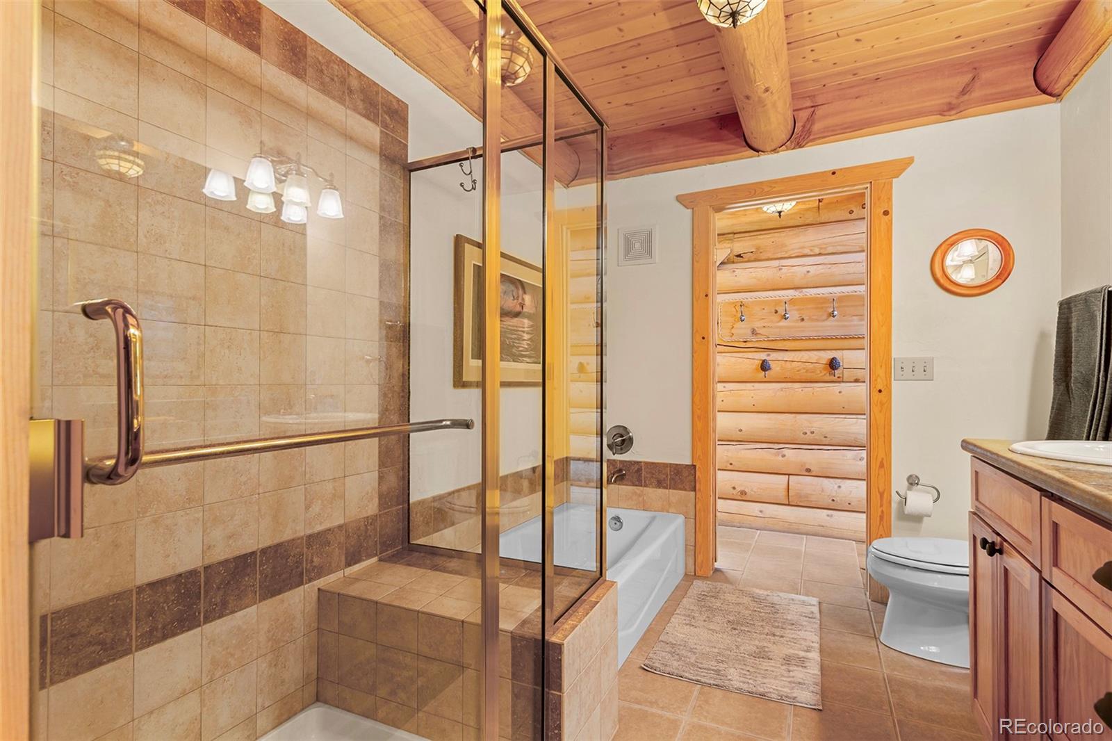 MLS Image #20 for 725  zebulon street,fairplay, Colorado