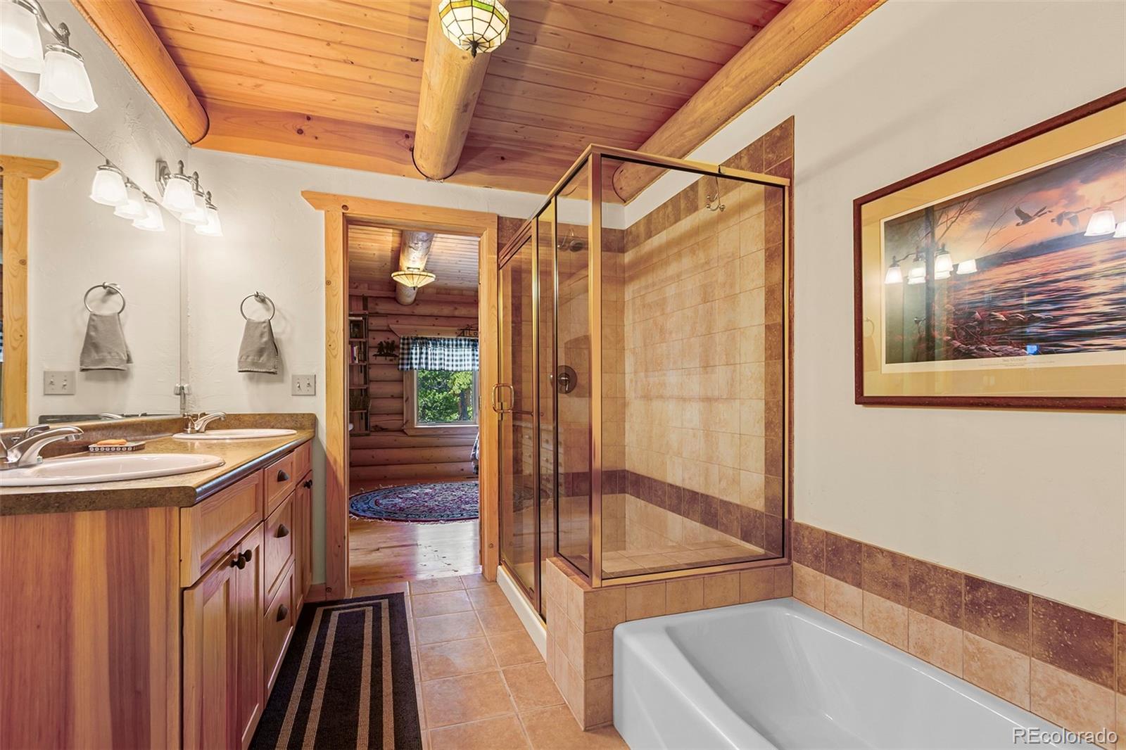 MLS Image #21 for 725  zebulon street,fairplay, Colorado