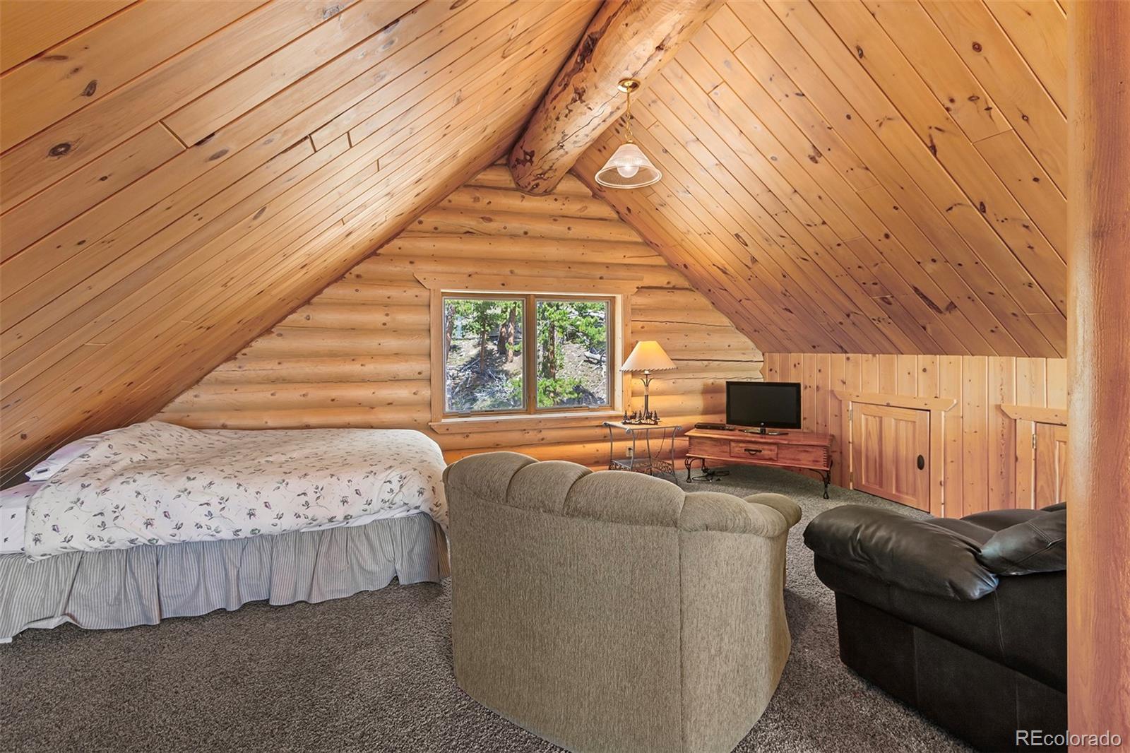 MLS Image #24 for 725  zebulon street,fairplay, Colorado