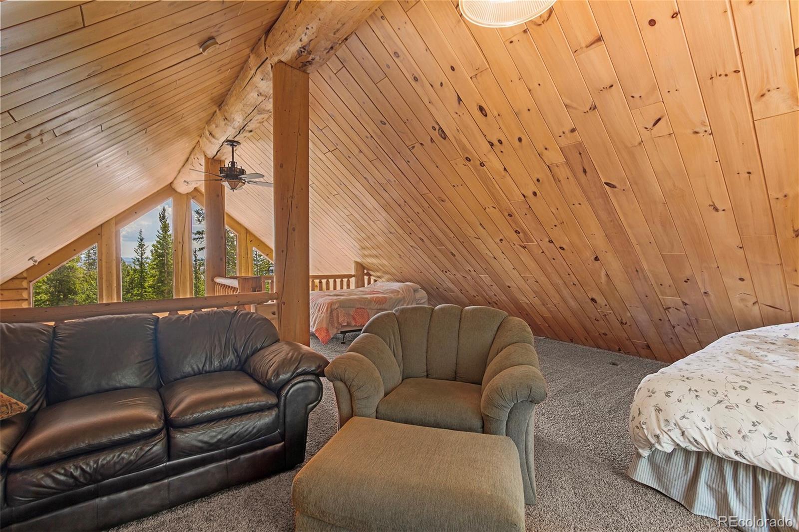 MLS Image #25 for 725  zebulon street,fairplay, Colorado