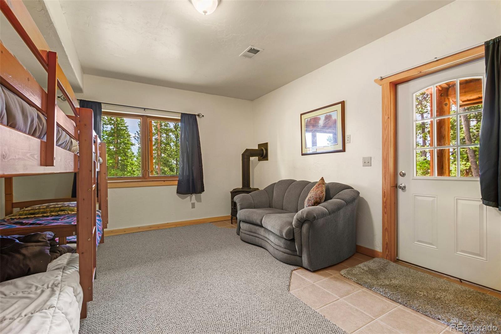 MLS Image #28 for 725  zebulon street,fairplay, Colorado