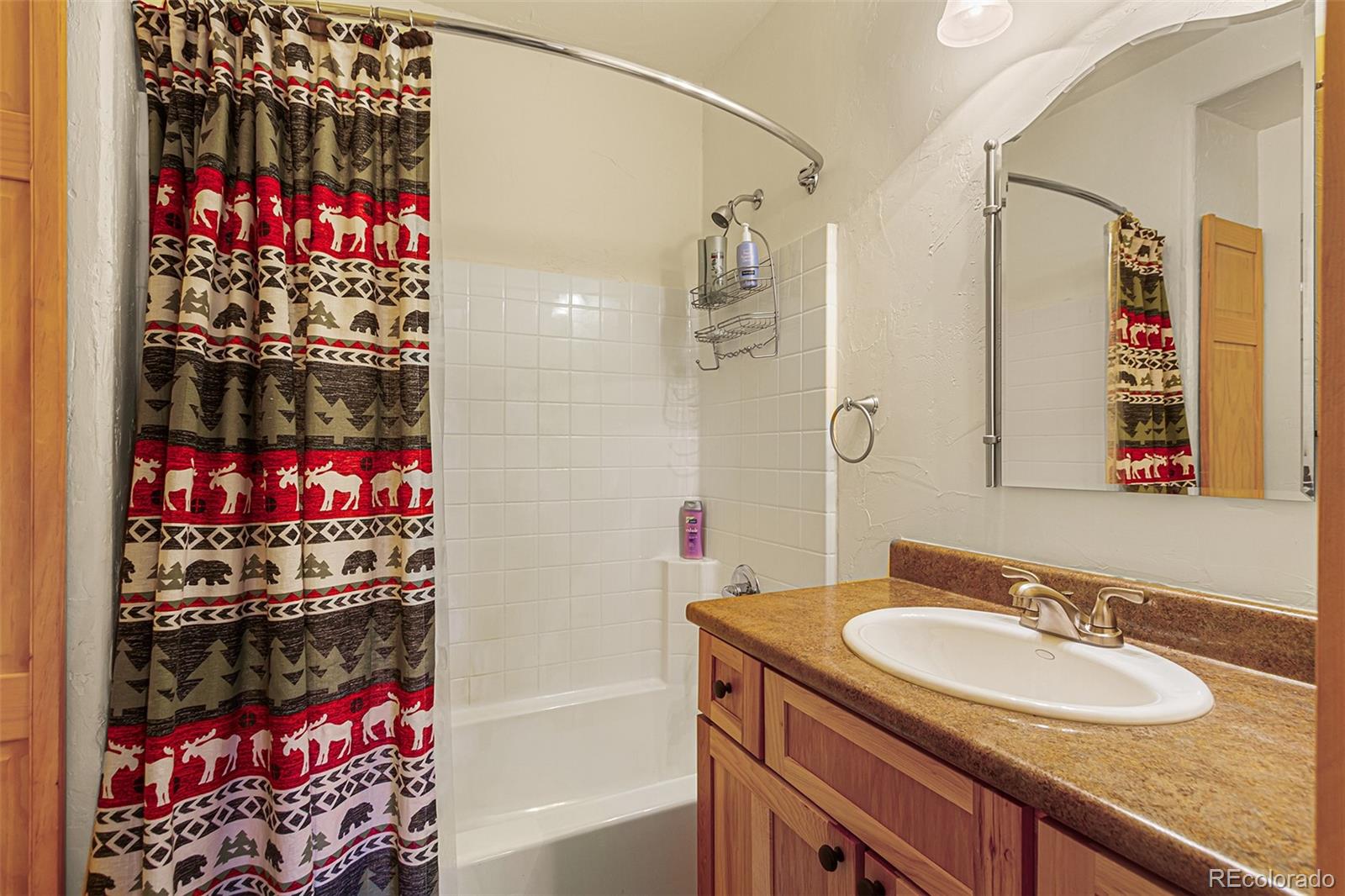 MLS Image #29 for 725  zebulon street,fairplay, Colorado