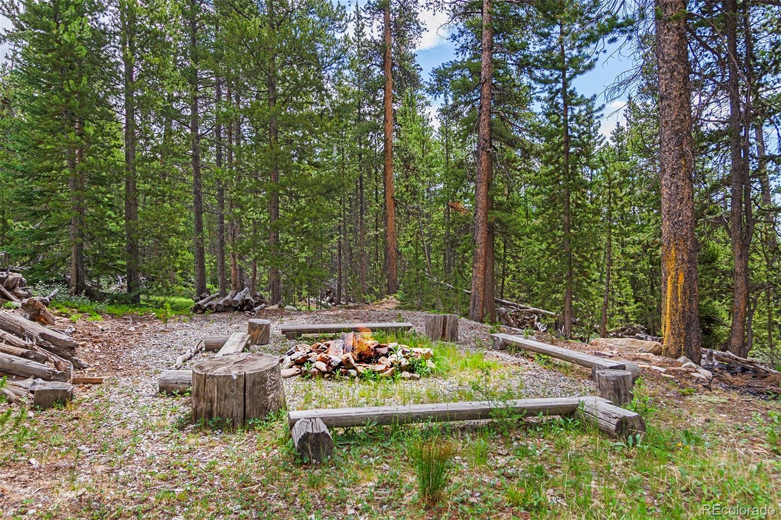 MLS Image #3 for 725  zebulon street,fairplay, Colorado