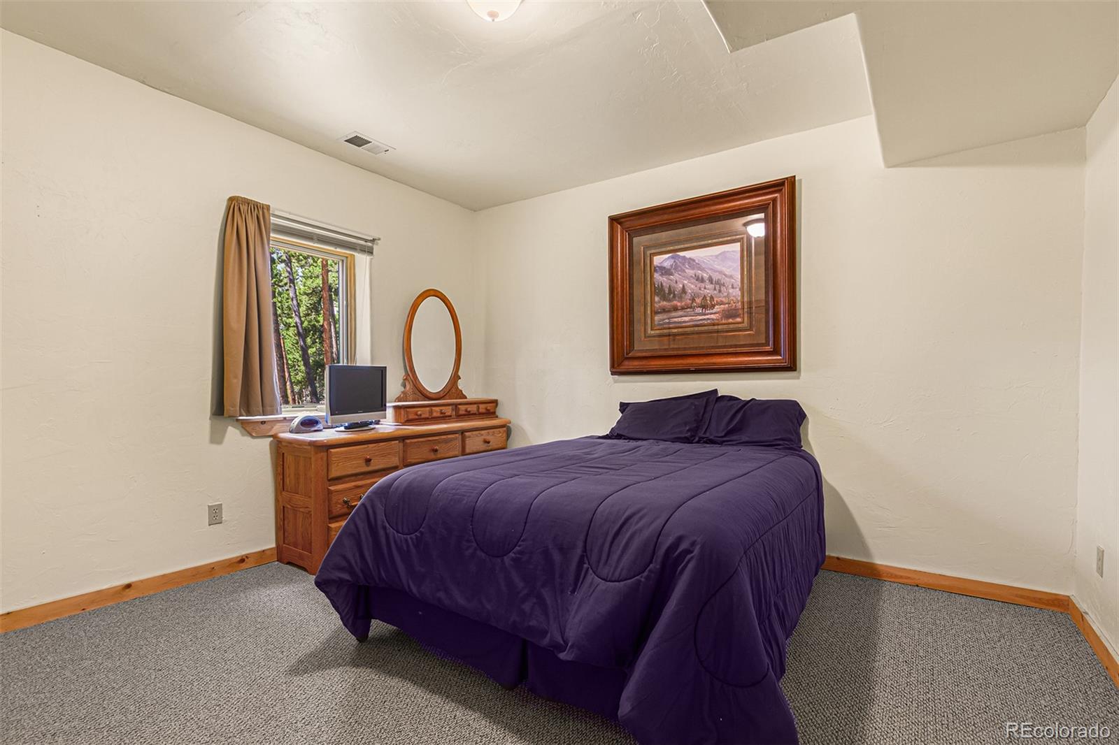 MLS Image #31 for 725  zebulon street,fairplay, Colorado