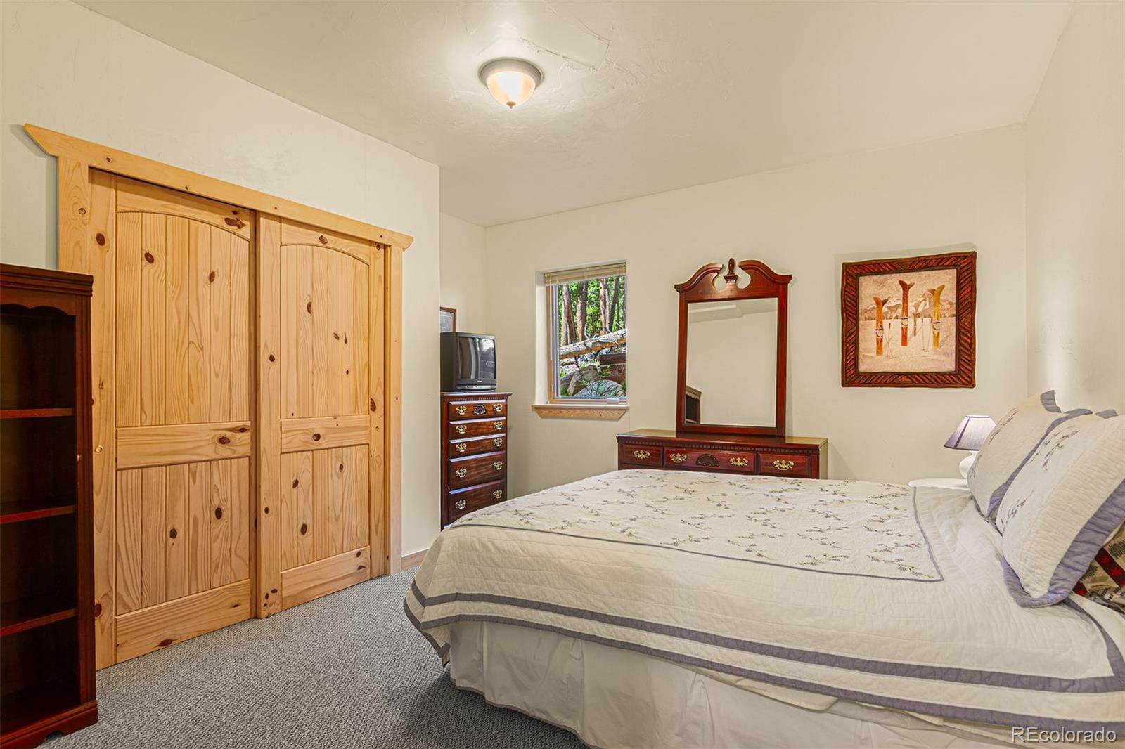 MLS Image #33 for 725  zebulon street,fairplay, Colorado