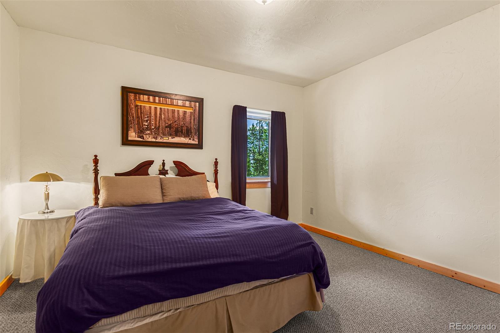 MLS Image #34 for 725  zebulon street,fairplay, Colorado