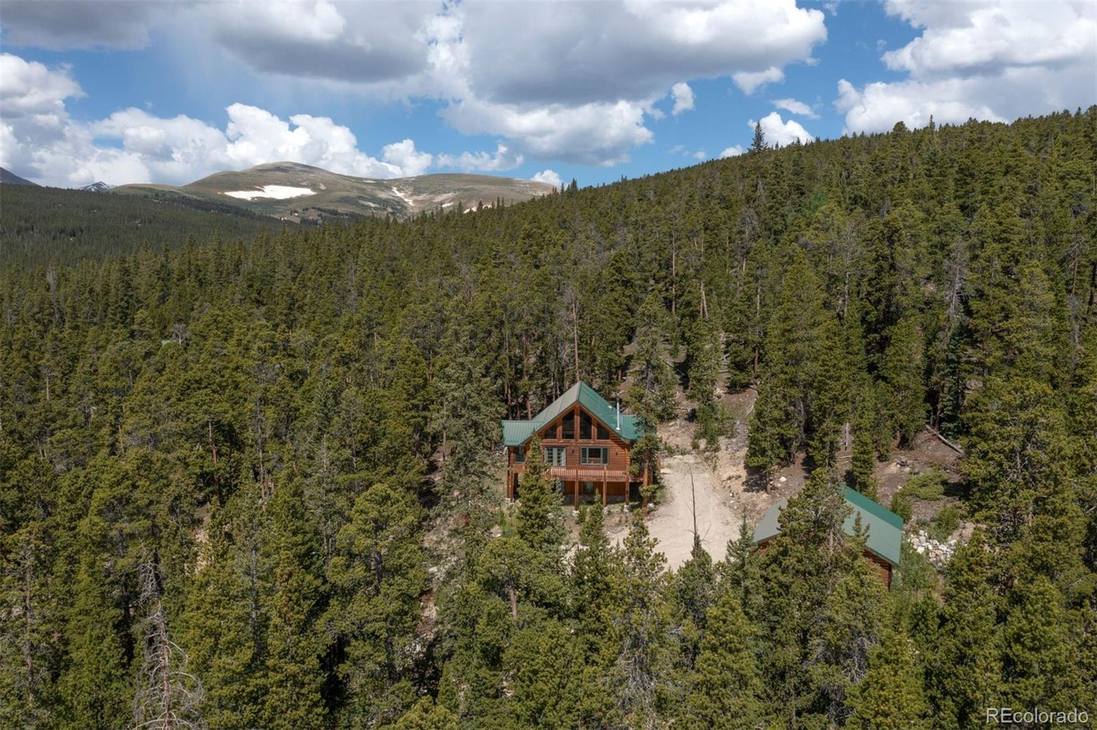 MLS Image #39 for 725  zebulon street,fairplay, Colorado