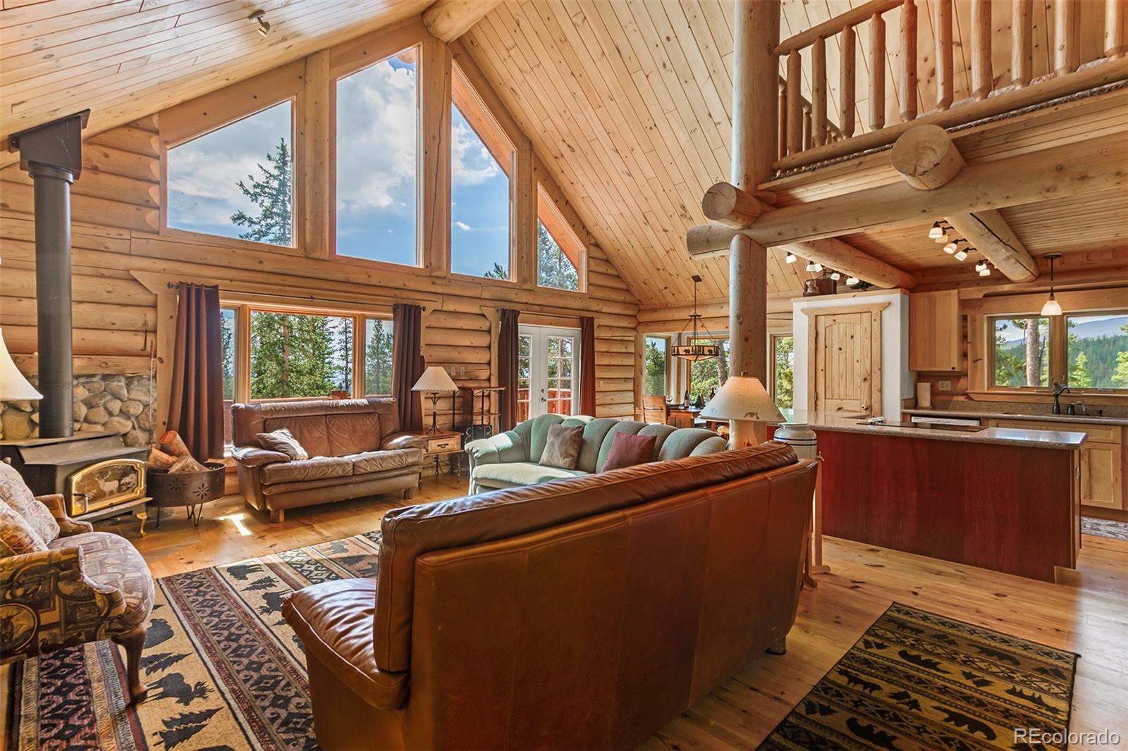 MLS Image #4 for 725  zebulon street,fairplay, Colorado