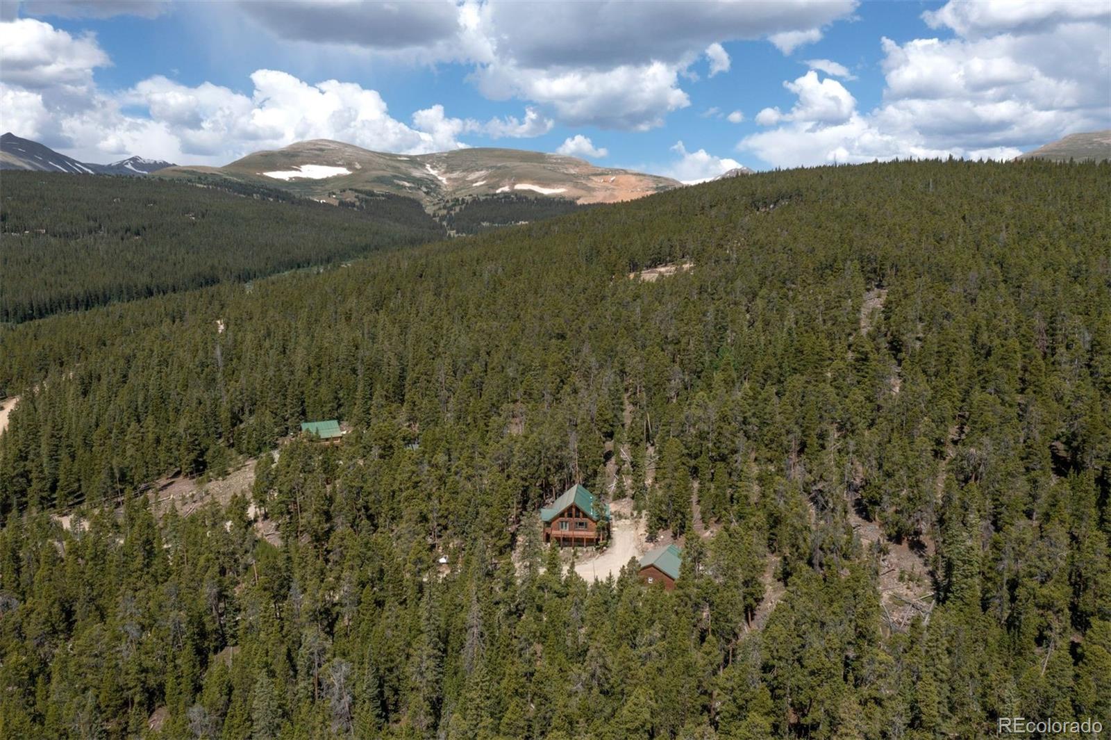 MLS Image #40 for 725  zebulon street,fairplay, Colorado