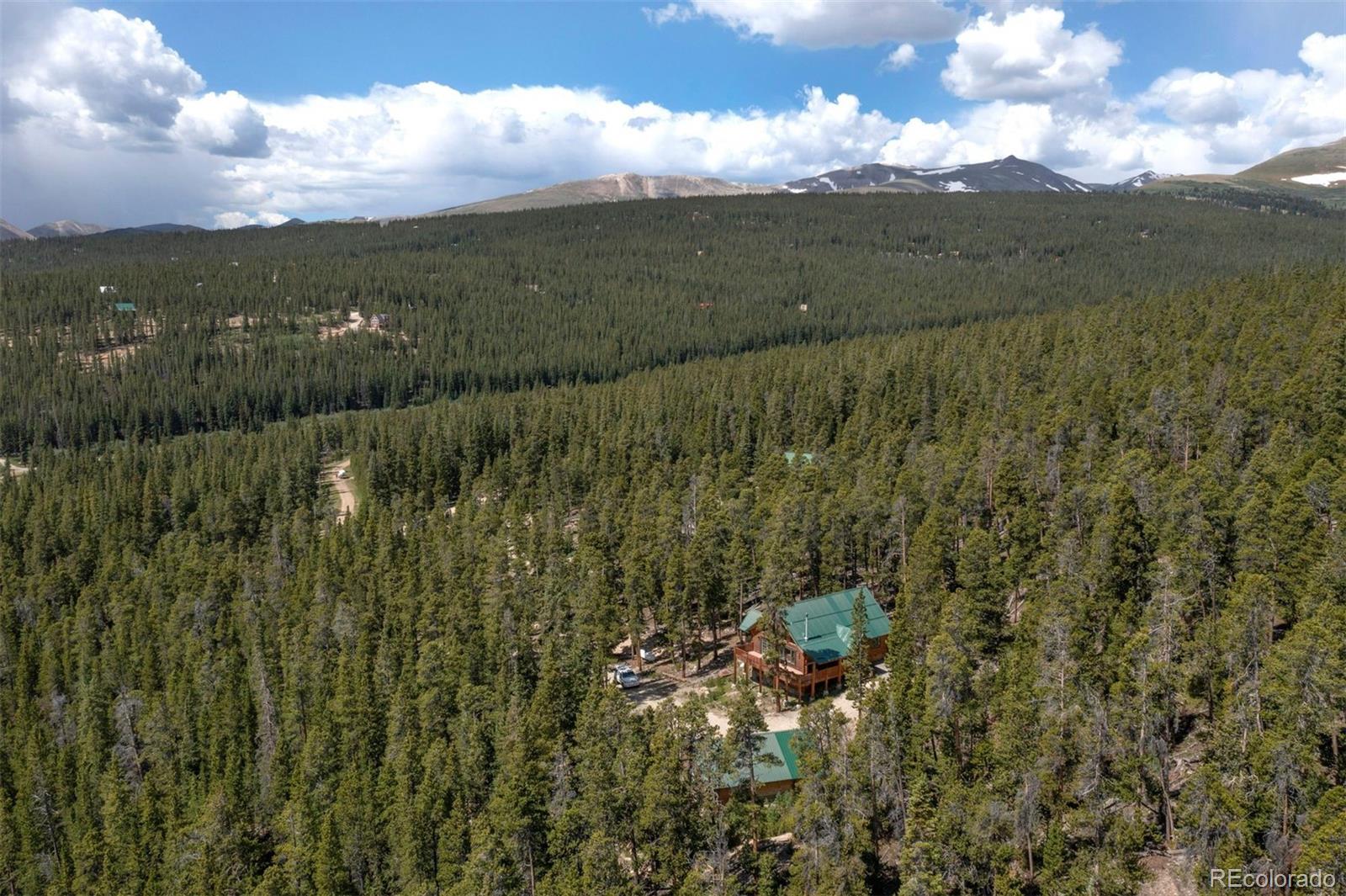 MLS Image #41 for 725  zebulon street,fairplay, Colorado